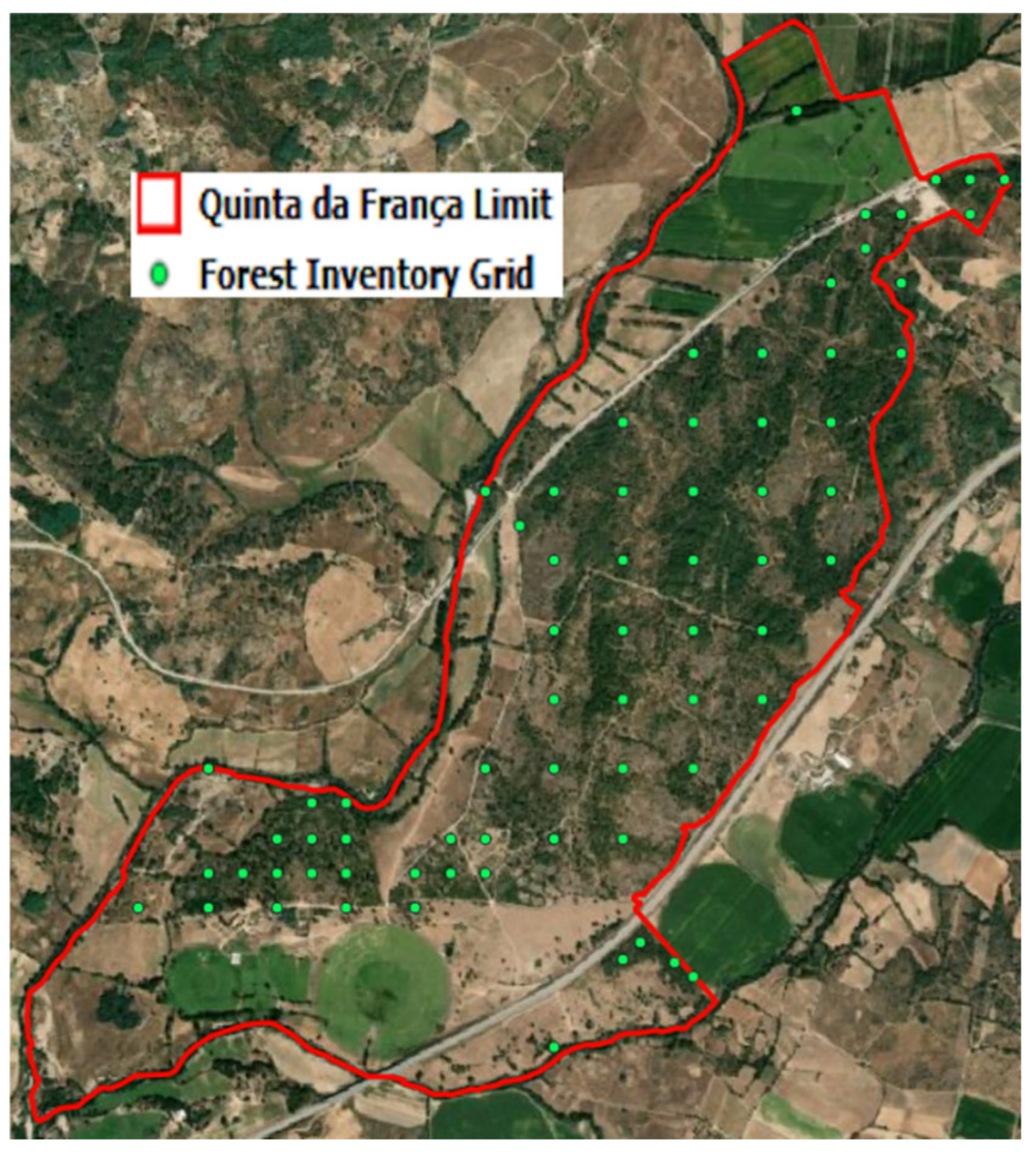Forests 16 01306 g017 Forests 16 01306 g017