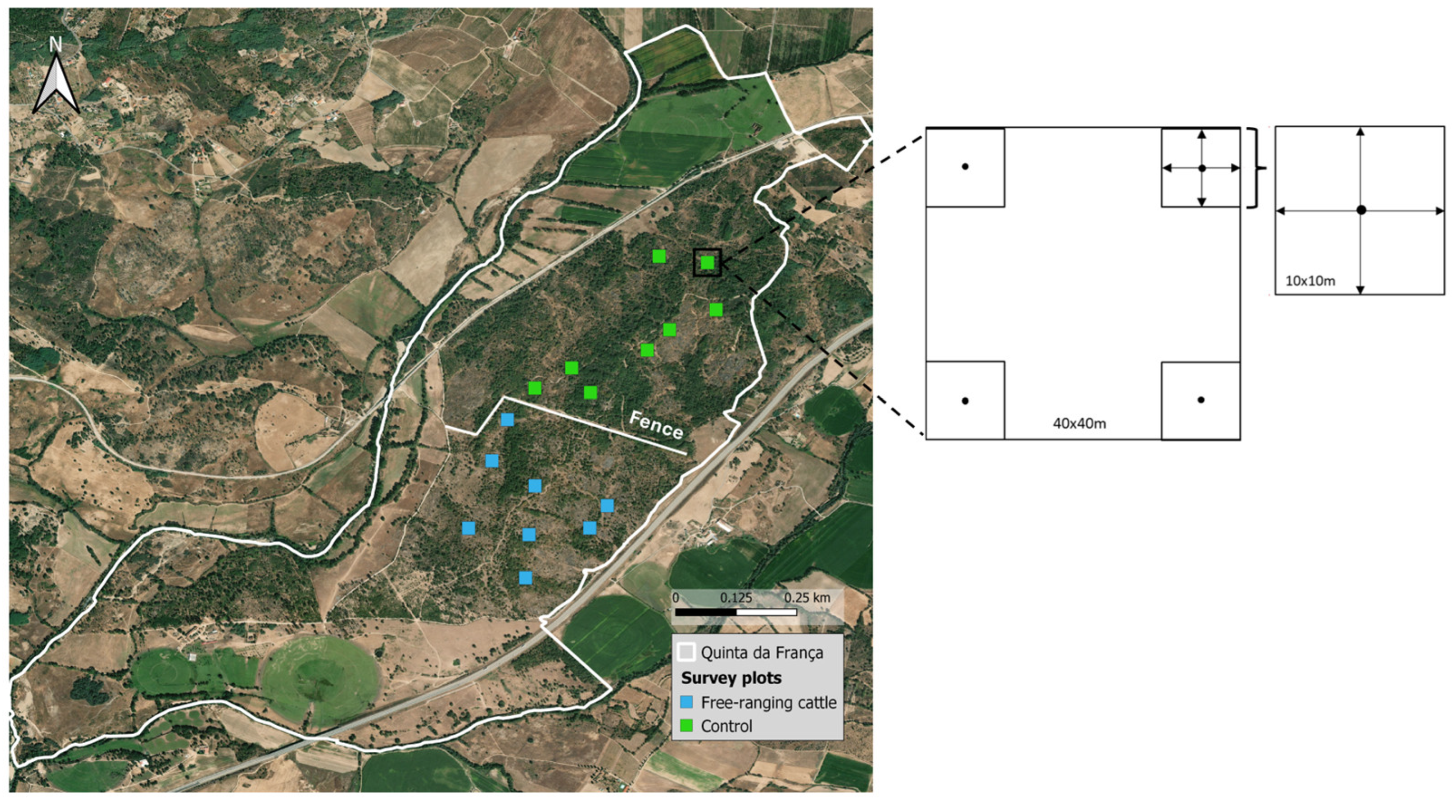 Forests 16 01306 g018 Forests 16 01306 g018