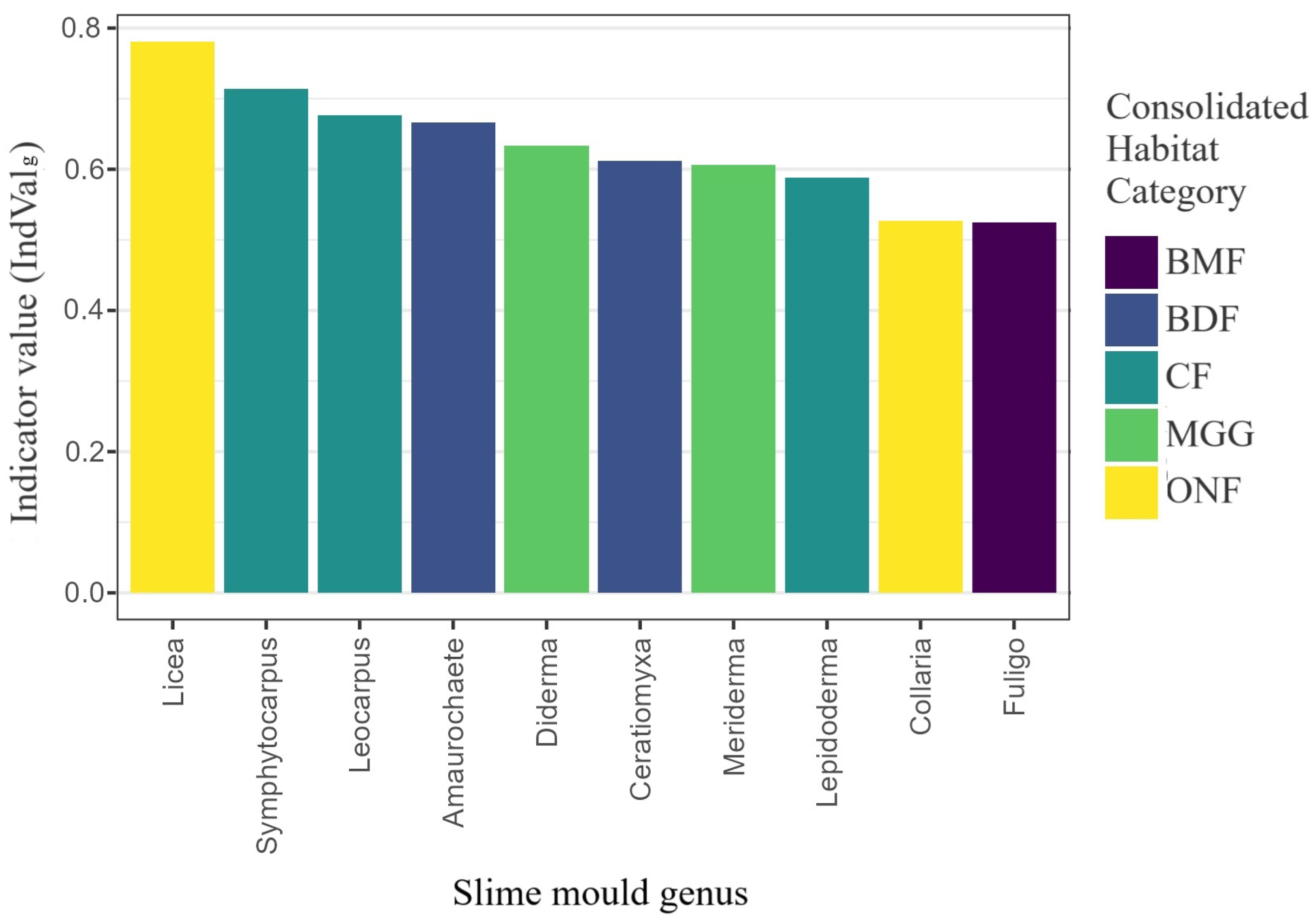 Forests 16 01307 g010