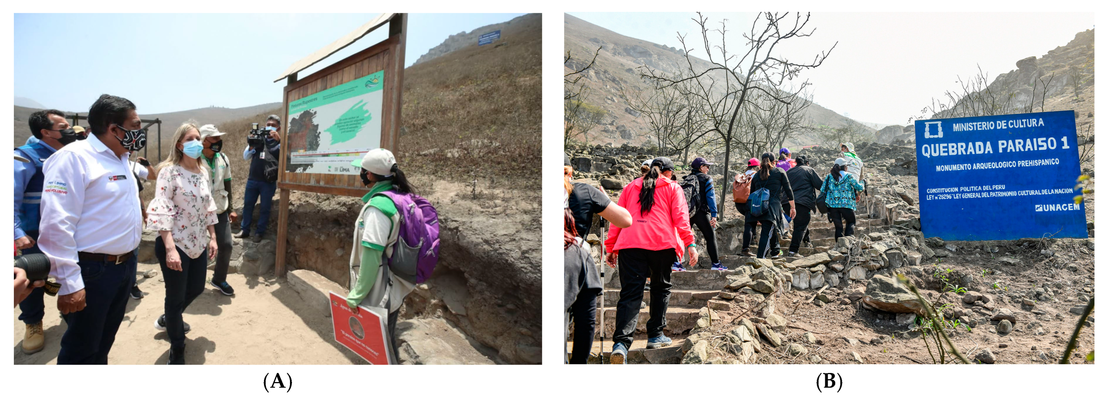 Forests 16 01310 g004