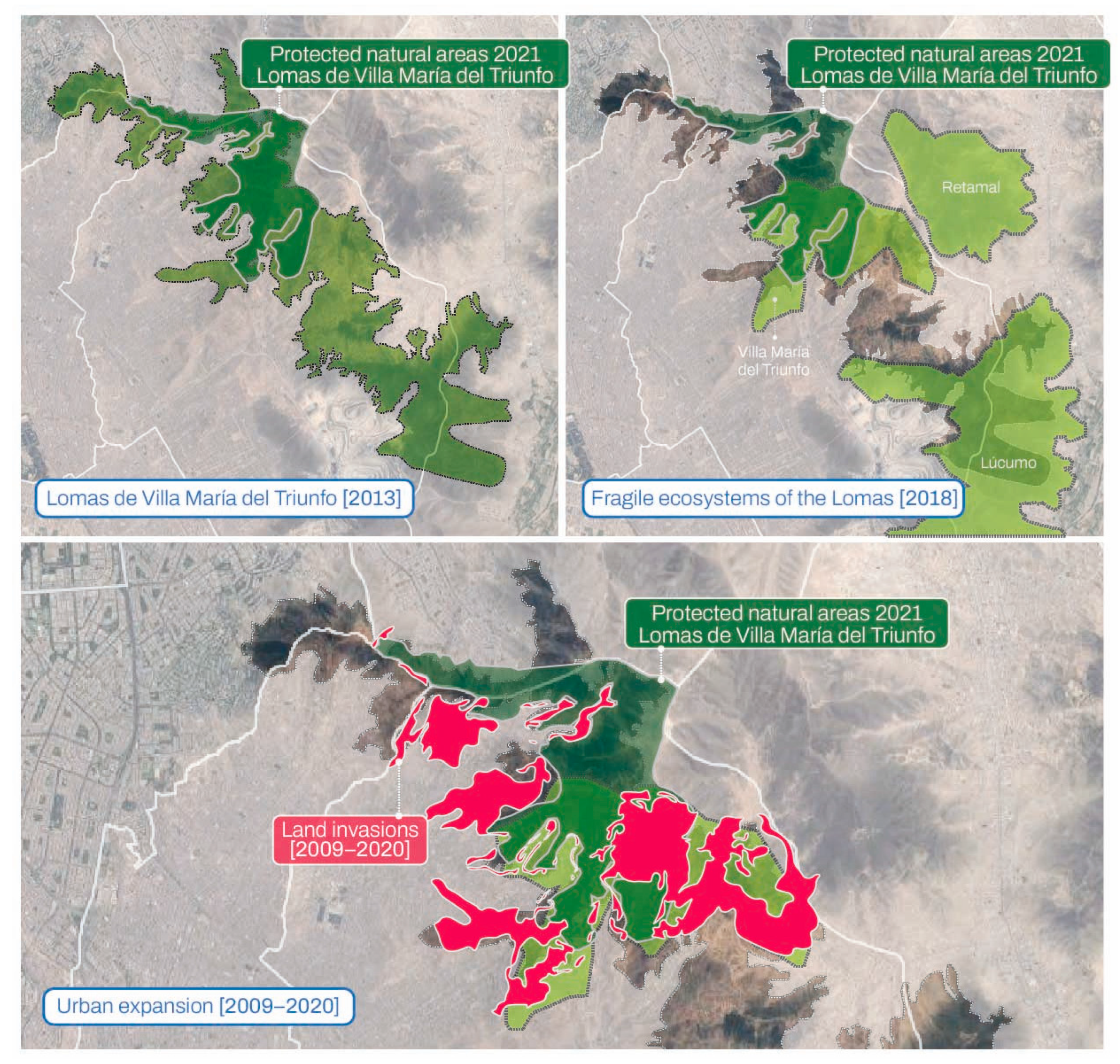 Forests 16 01310 g005