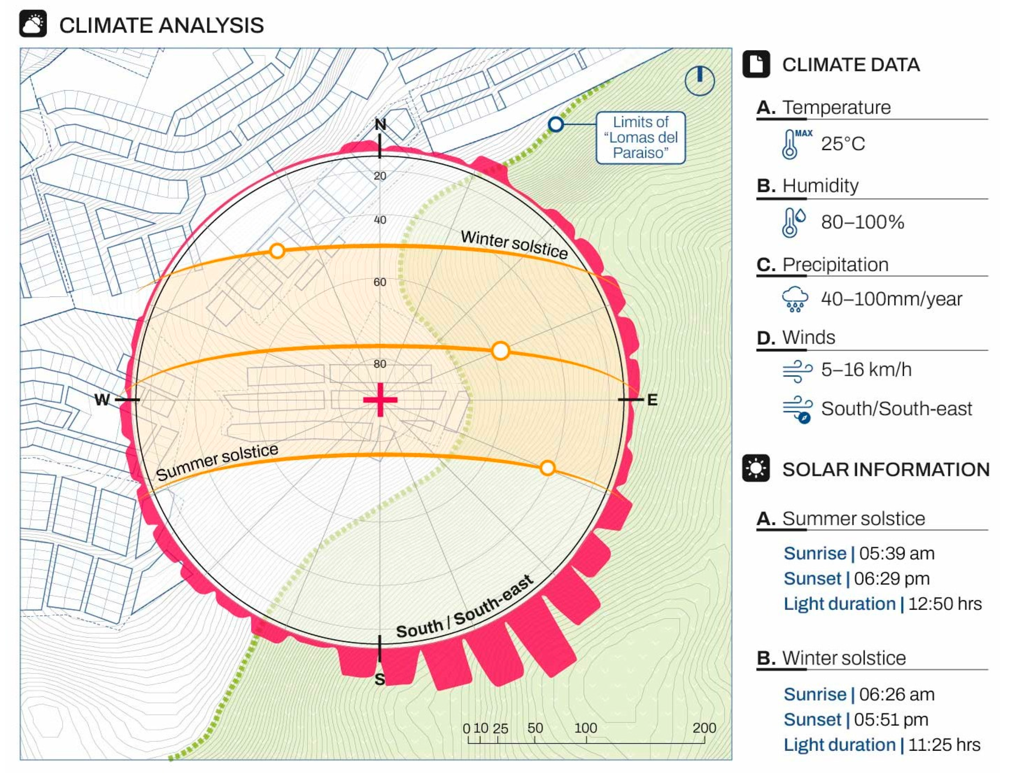 Forests 16 01310 g010