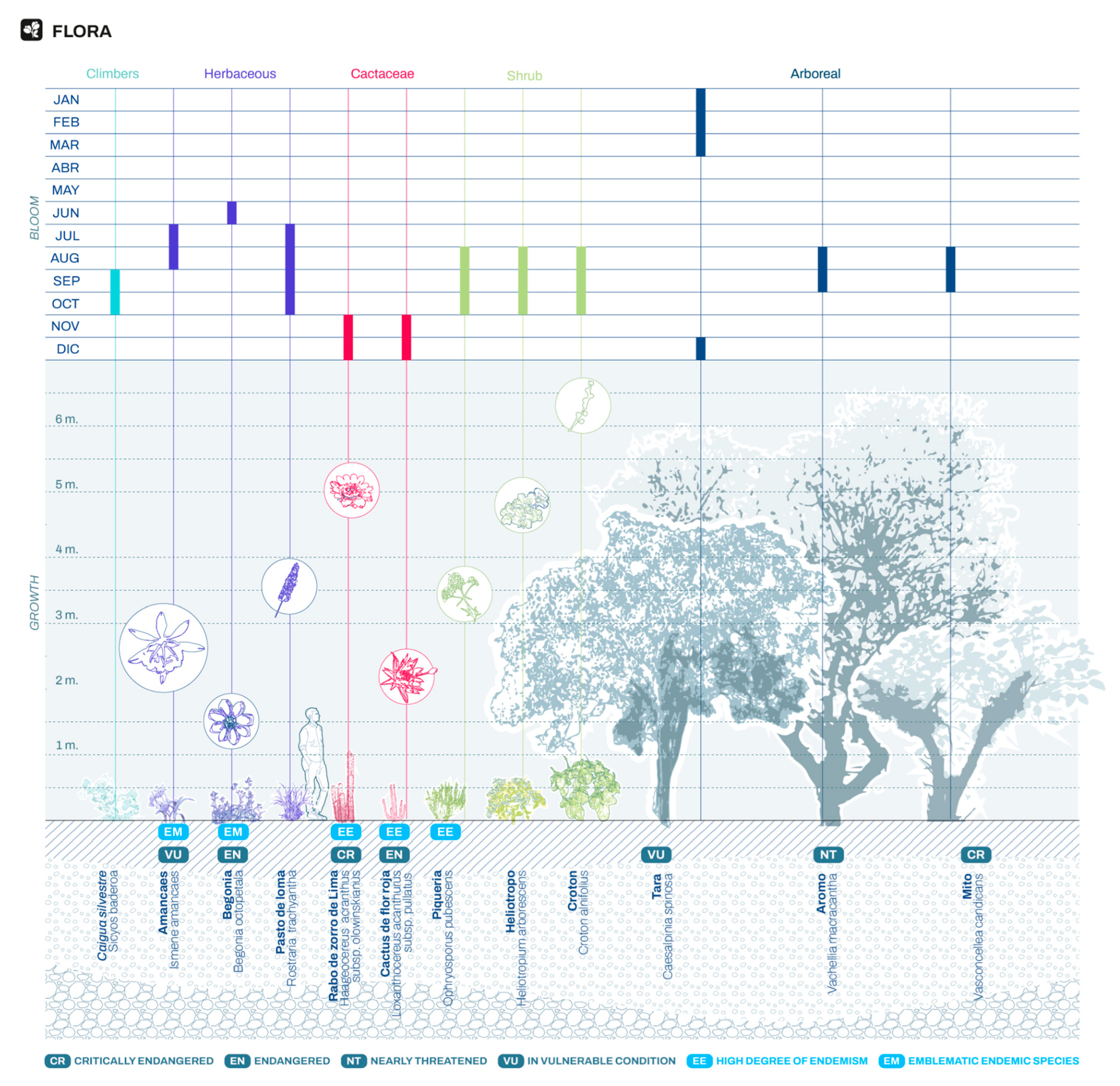 Forests 16 01310 g012
