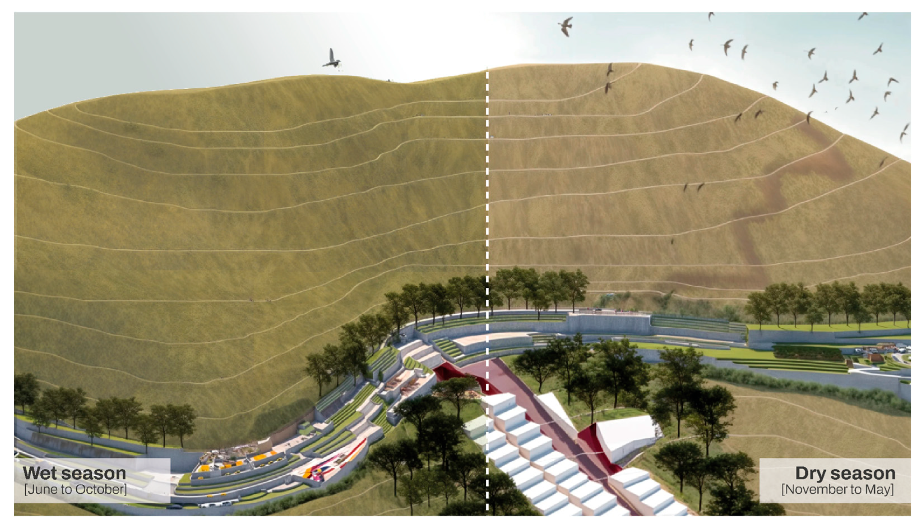 Forests 16 01310 g017