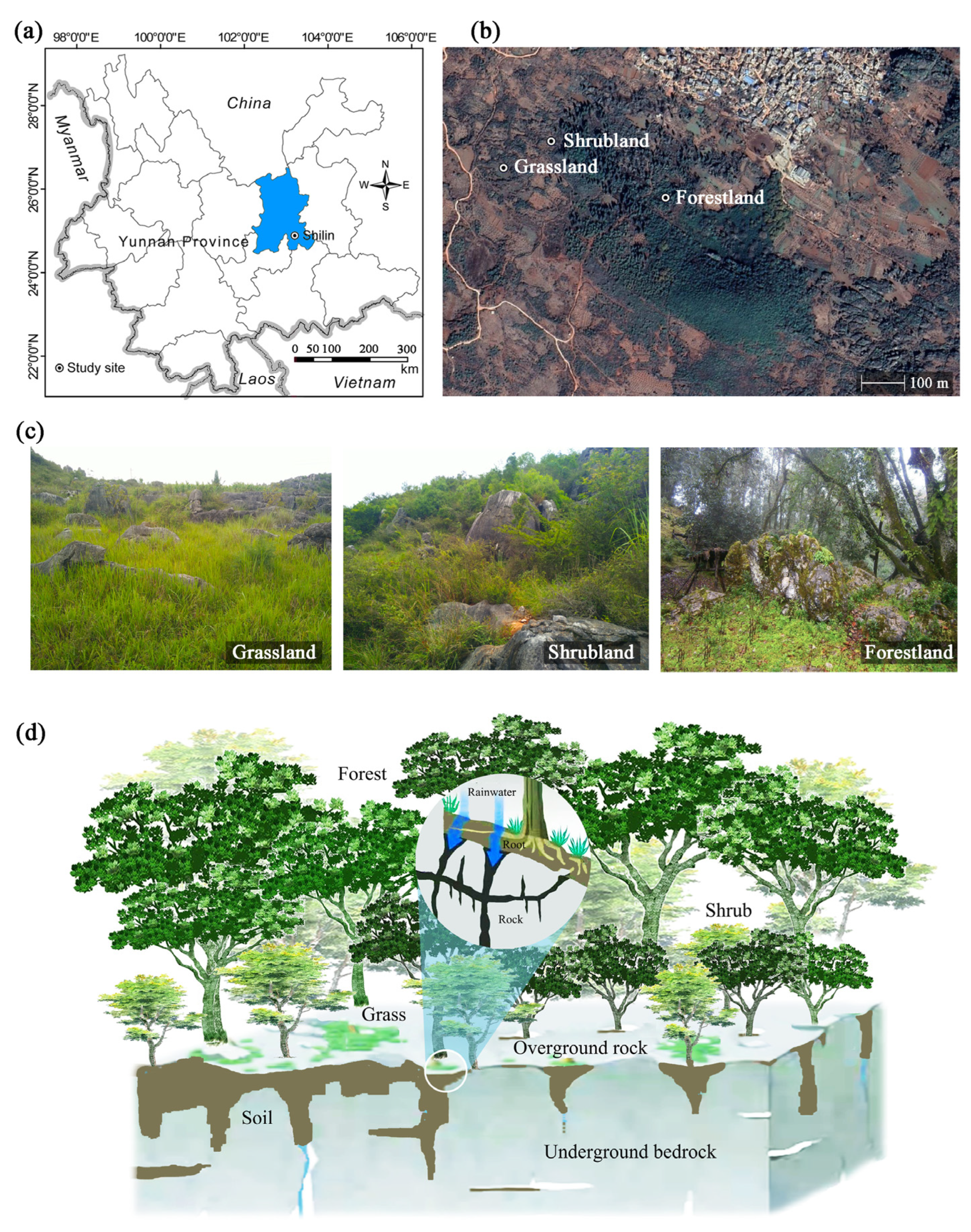 その他 DJ Amazon.co.jp: Hape DJミックス&スピンスタジオ ミュージカル