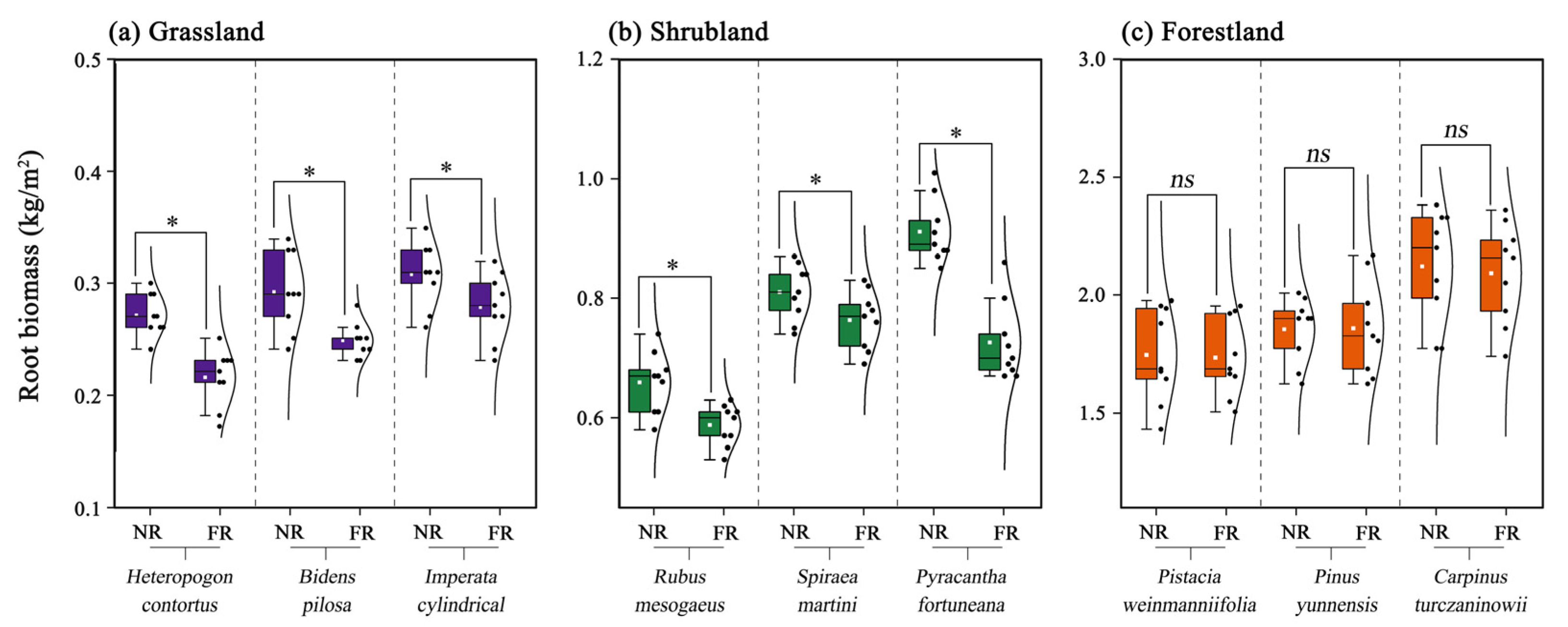 Forests 16 01313 g002 Forests 16 01313 g002