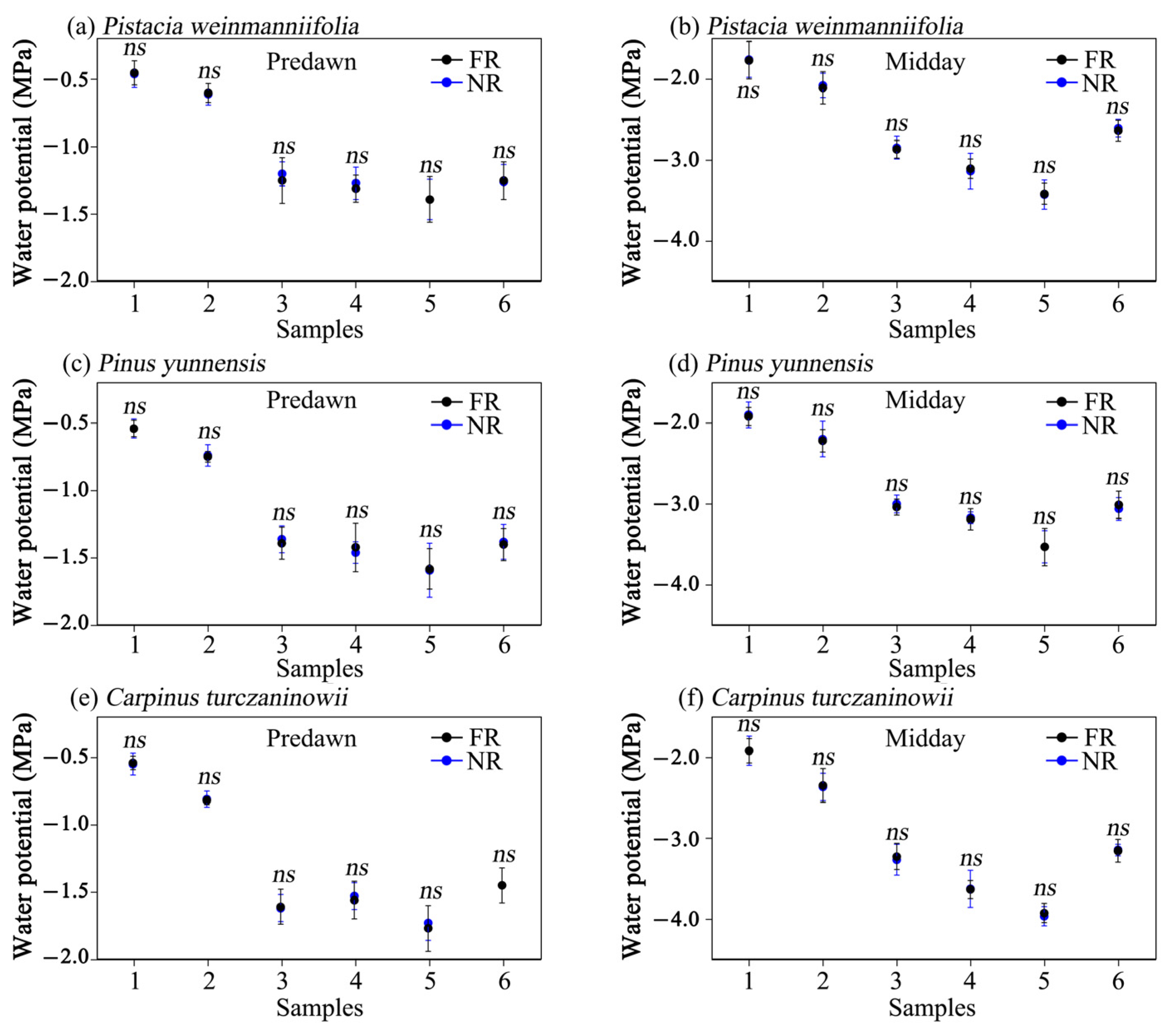 Forests 16 01313 g006 Forests 16 01313 g006