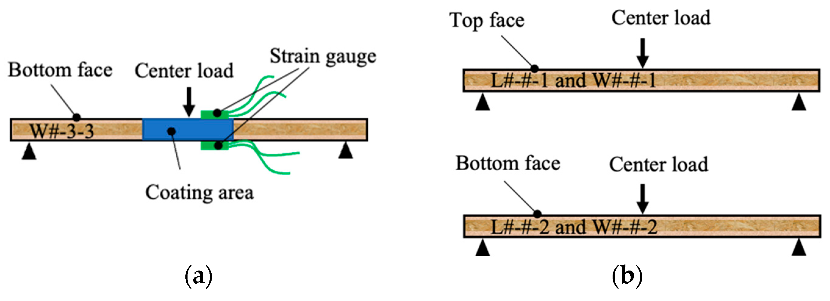 Forests 16 01315 g003