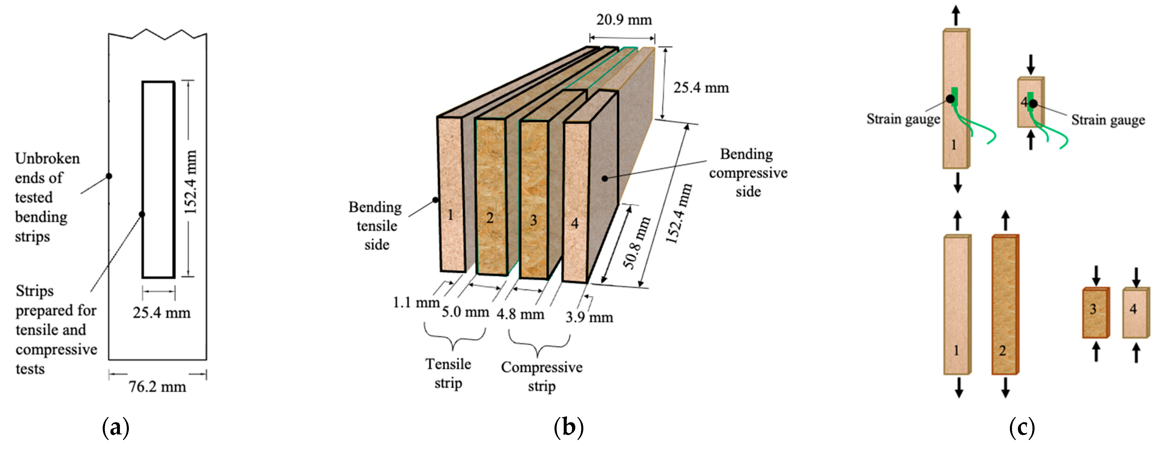 Forests 16 01315 g004