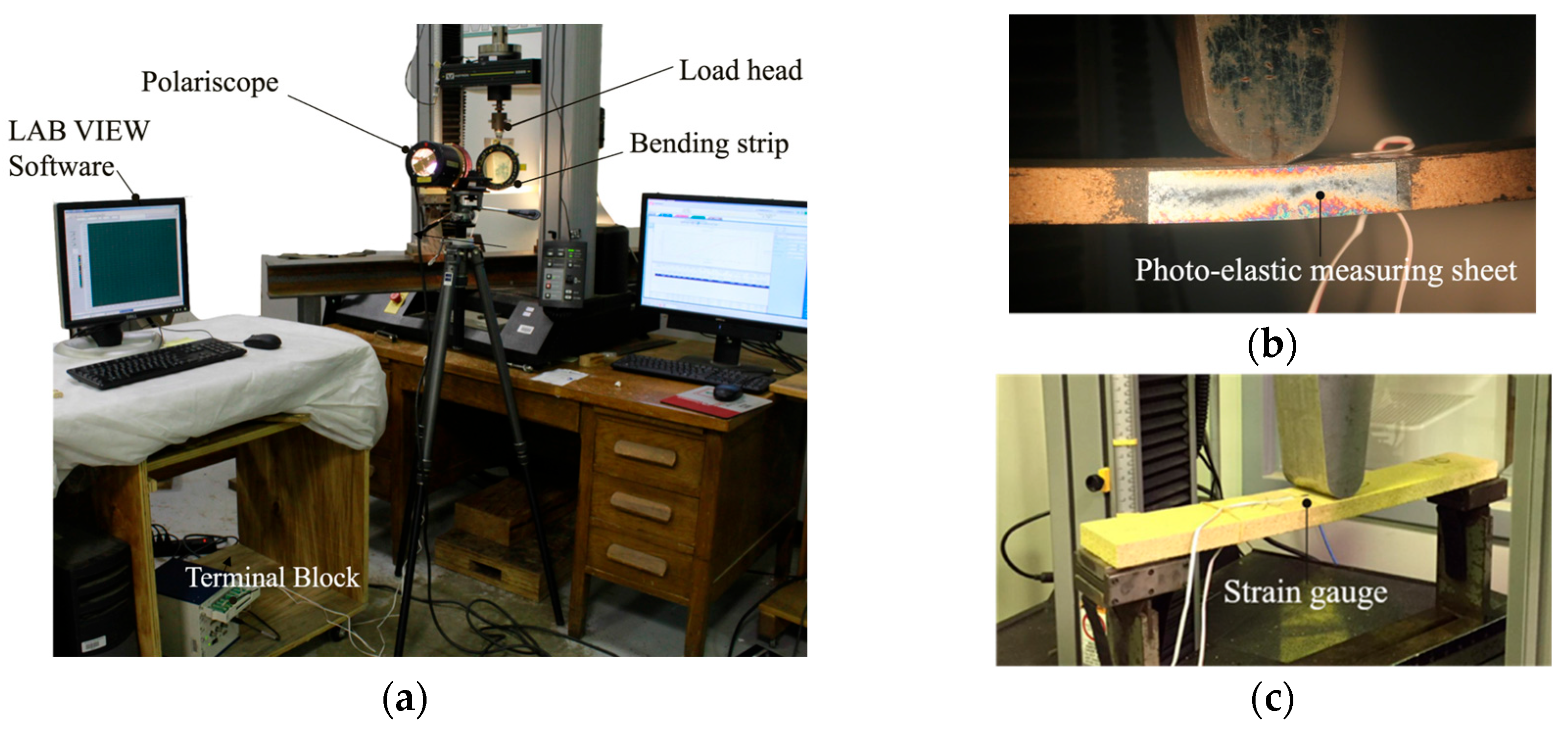 Forests 16 01315 g005