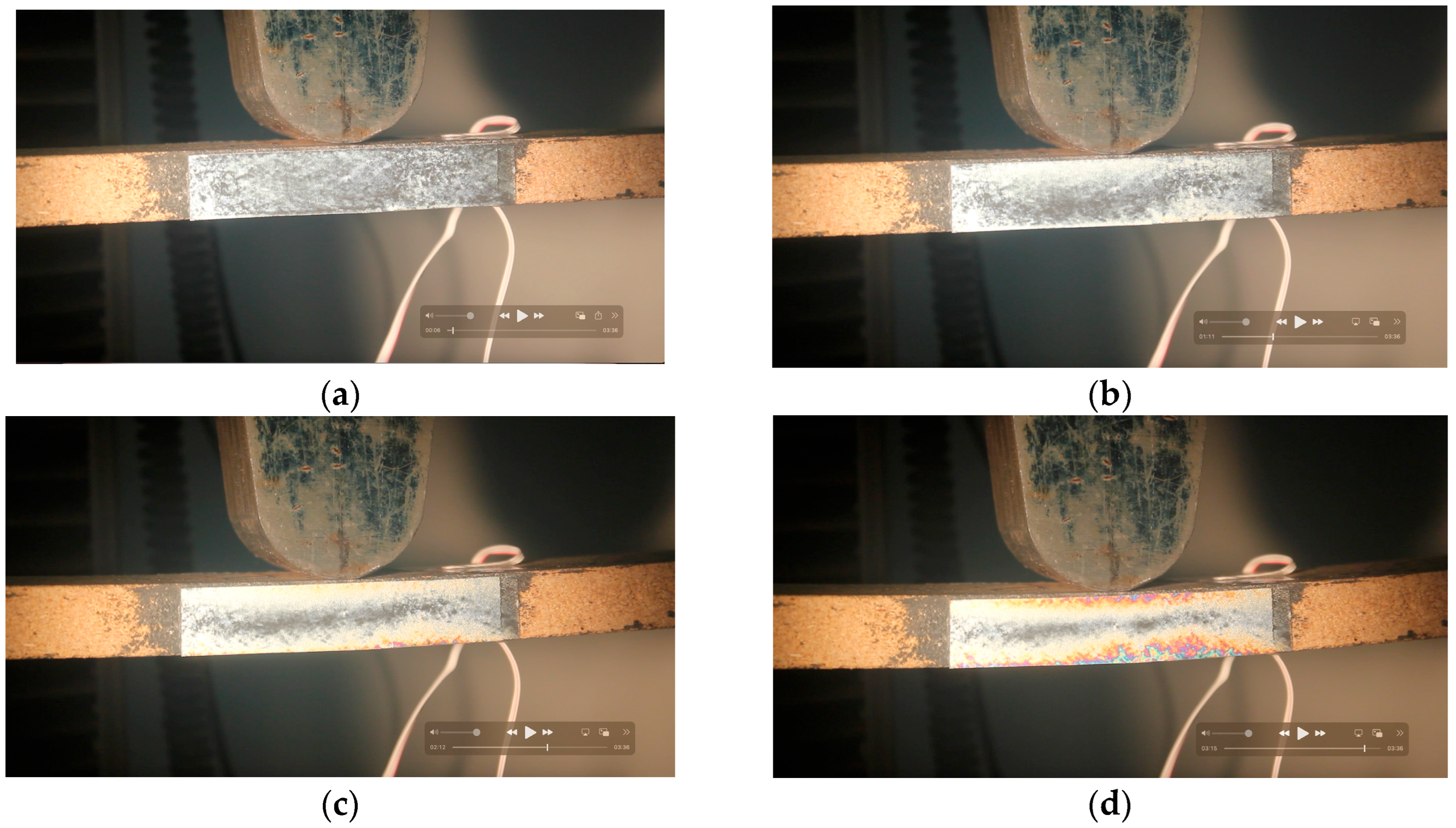 Forests 16 01315 g008