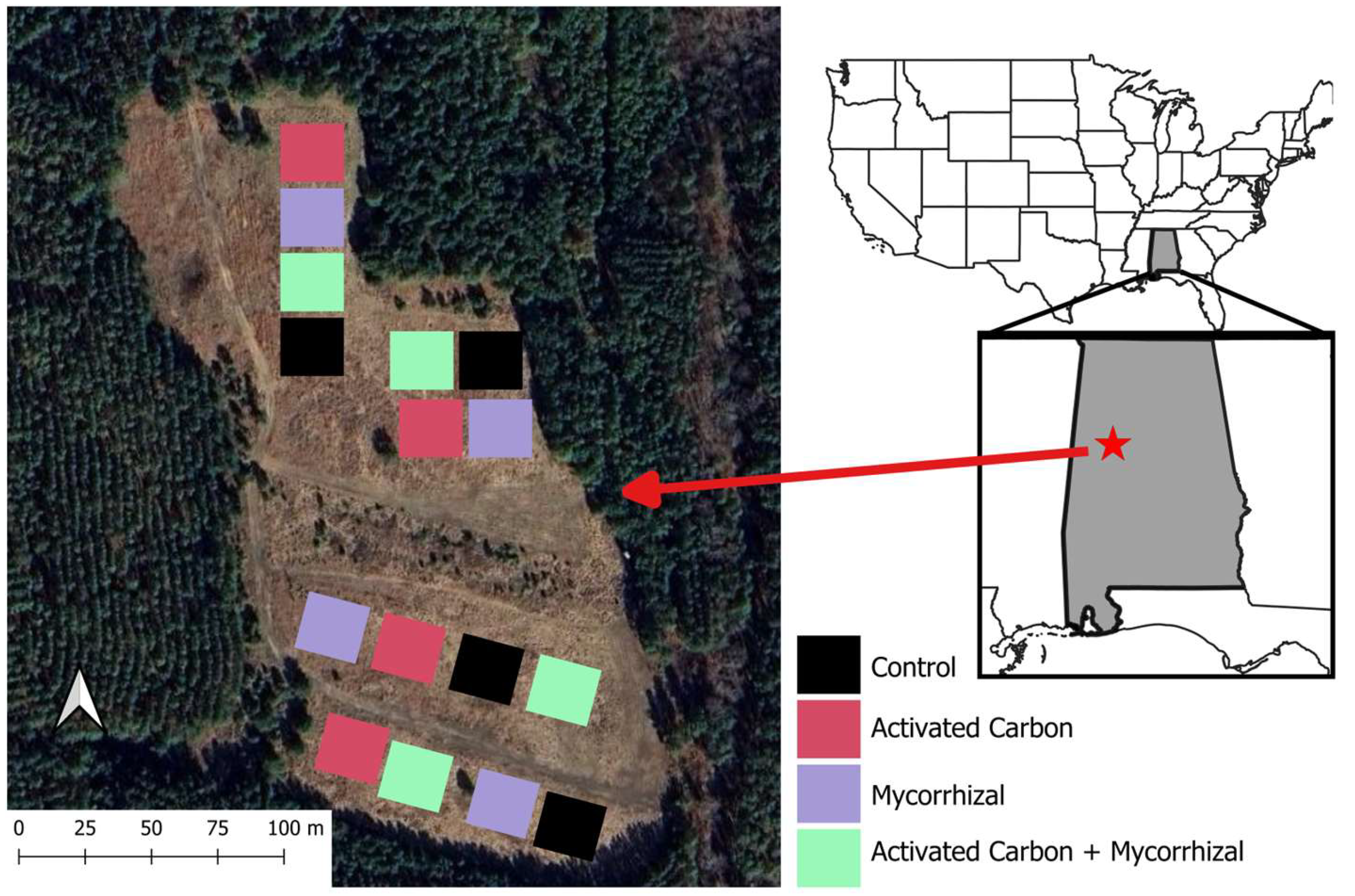 Forests 16 01316 g001 Forests 16 01316 g001