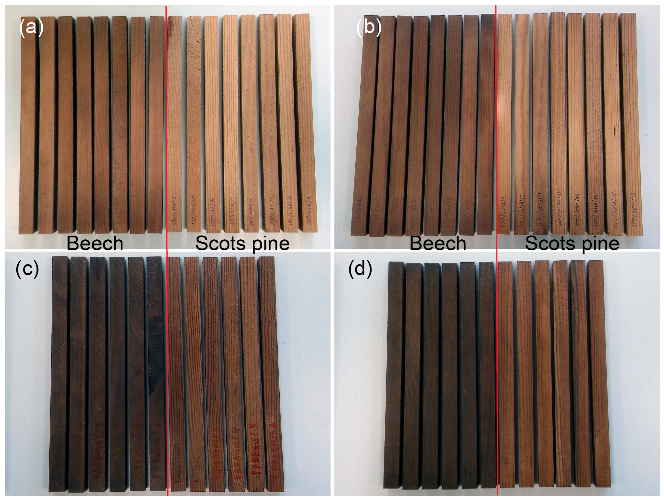 Forests 16 01317 g001