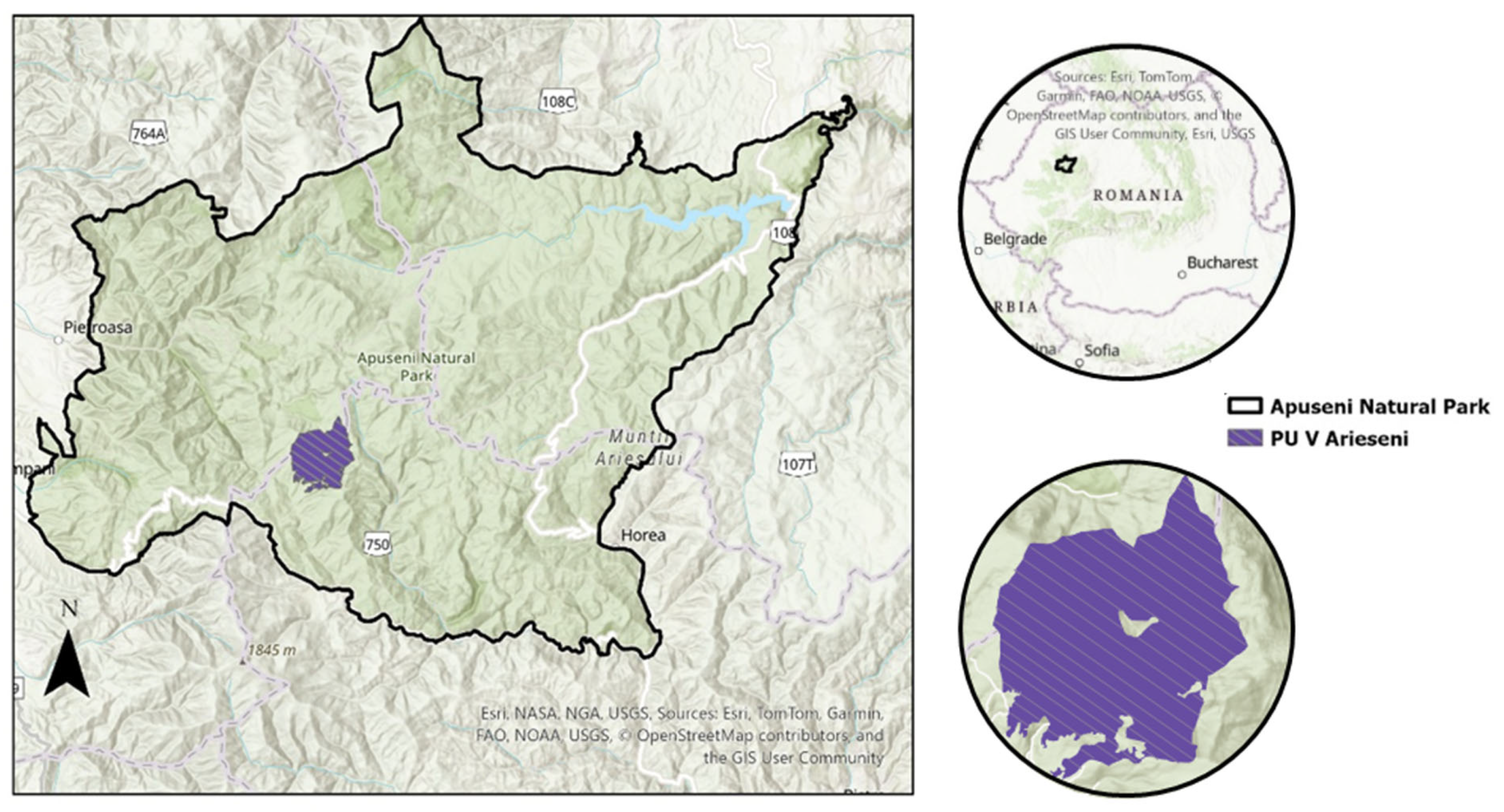 Forests 16 01326 g001