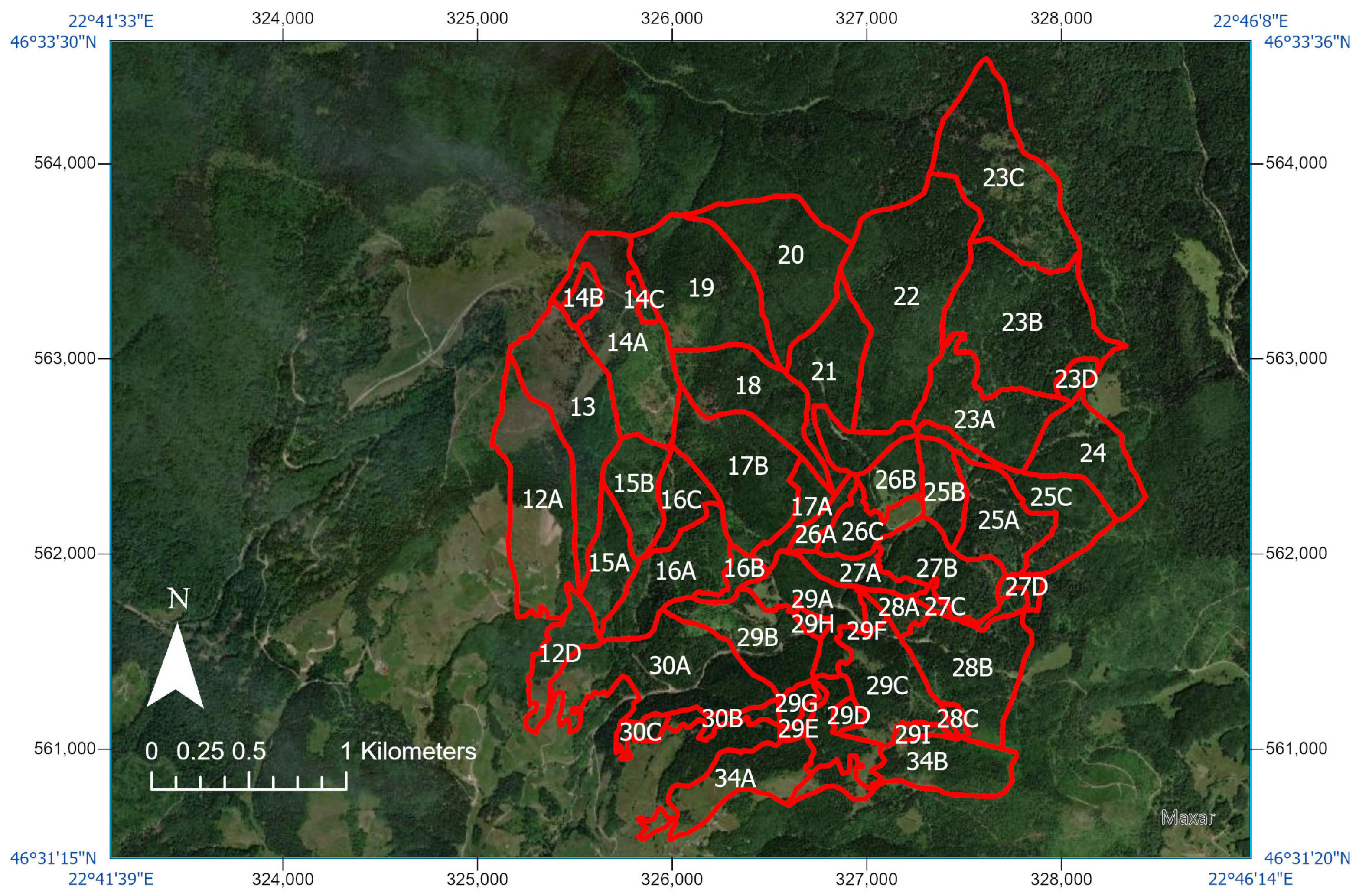 Forests 16 01326 g003