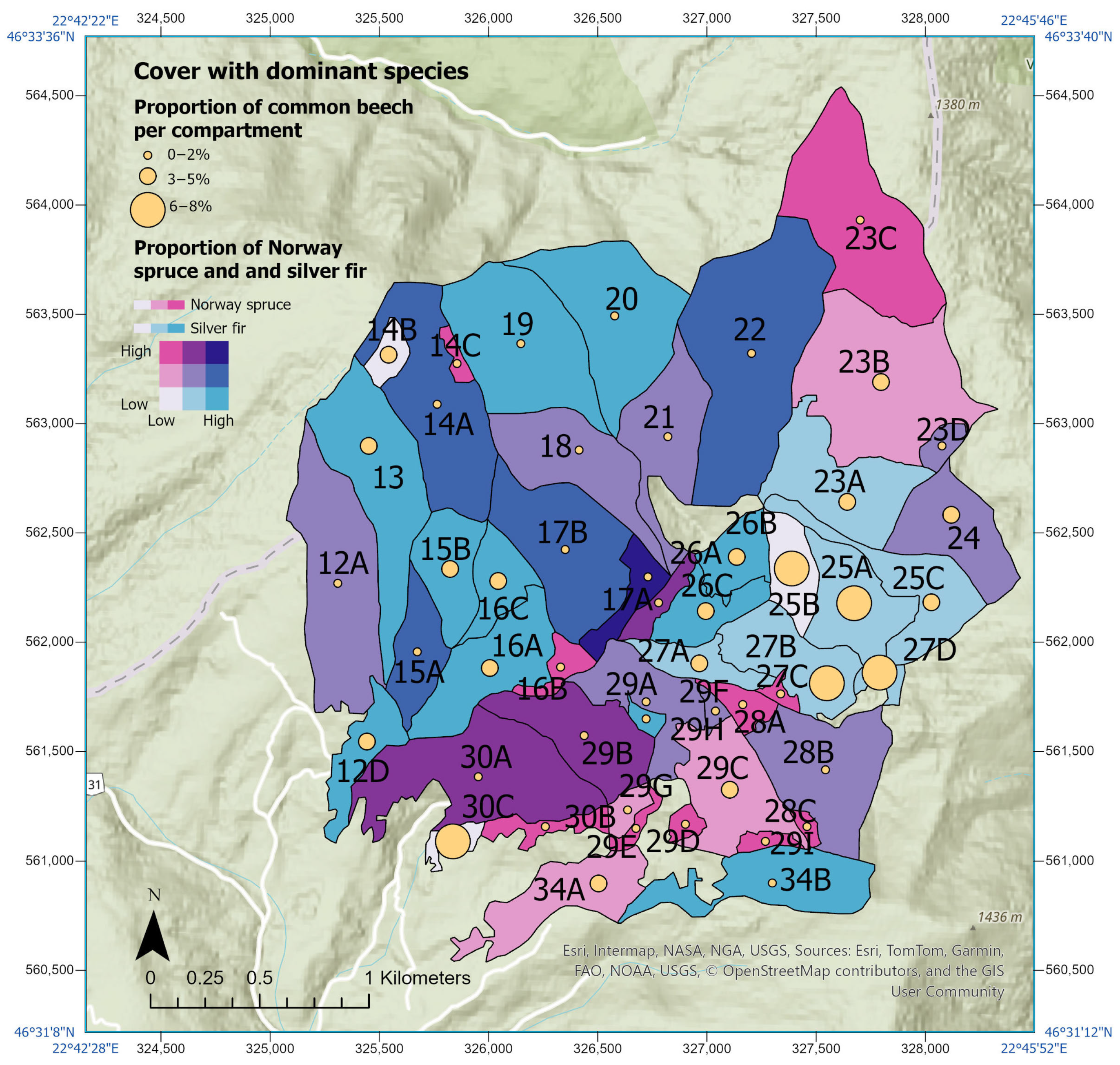 Forests 16 01326 g004