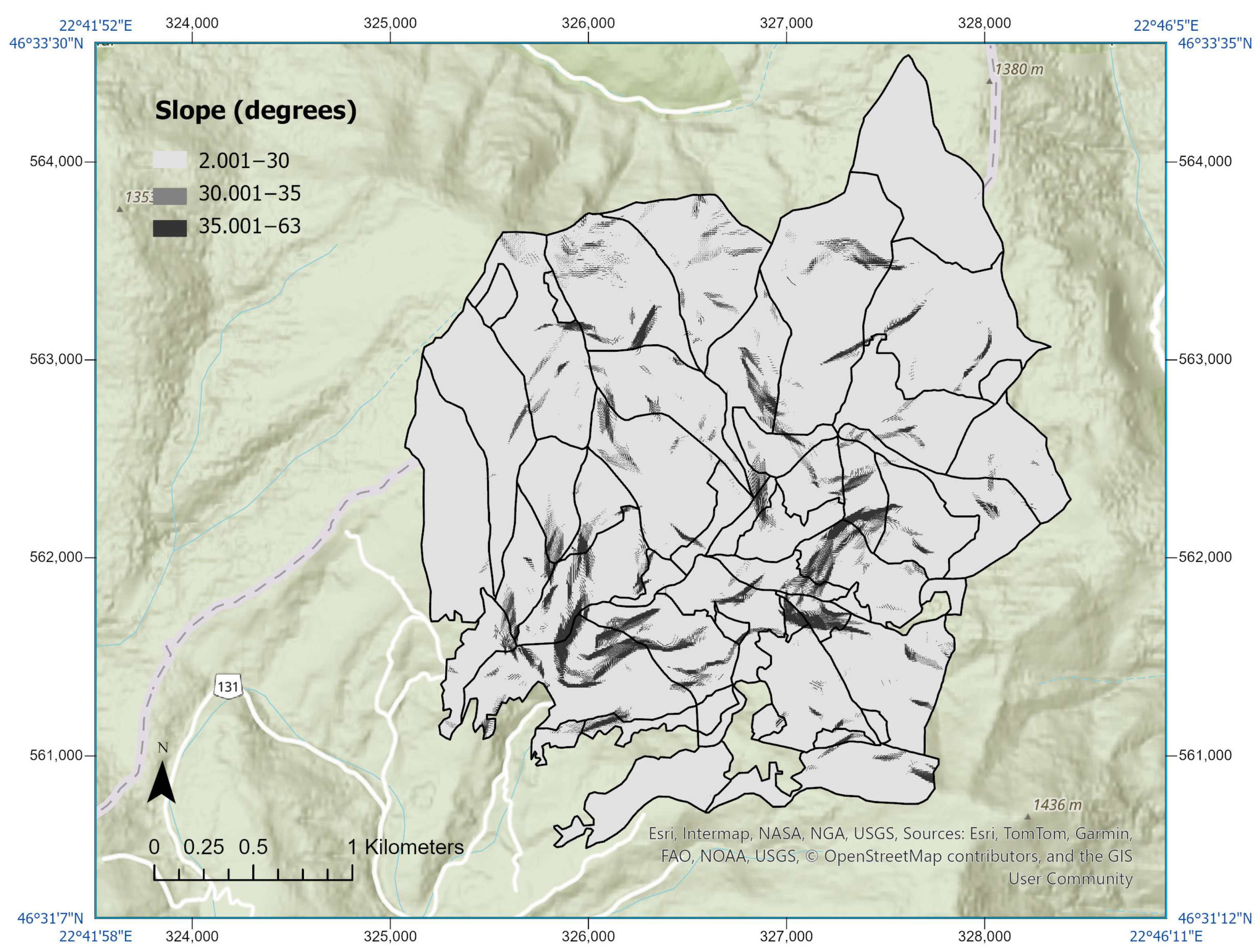 Forests 16 01326 g007