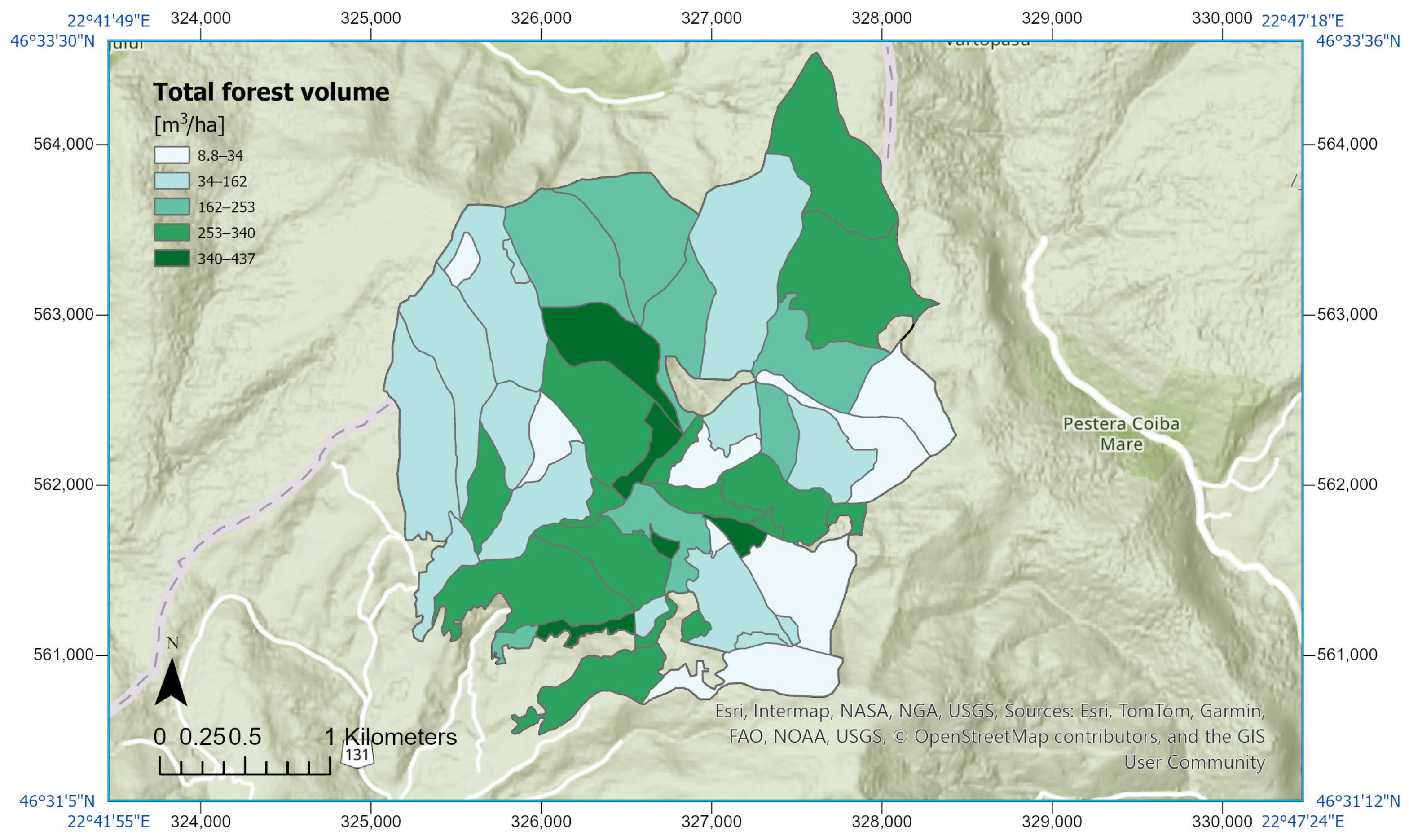 Forests 16 01326 g008