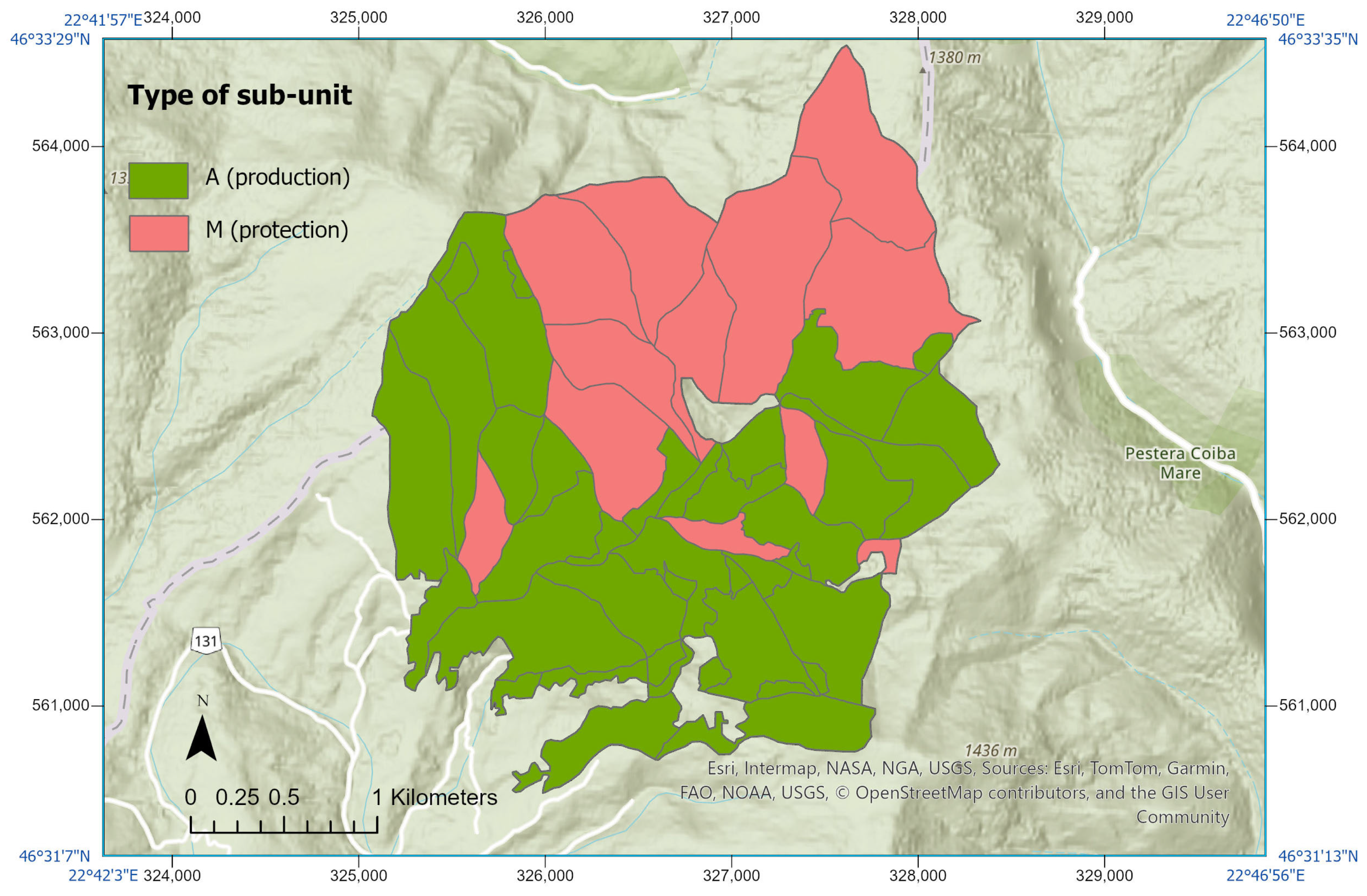 Forests 16 01326 g009