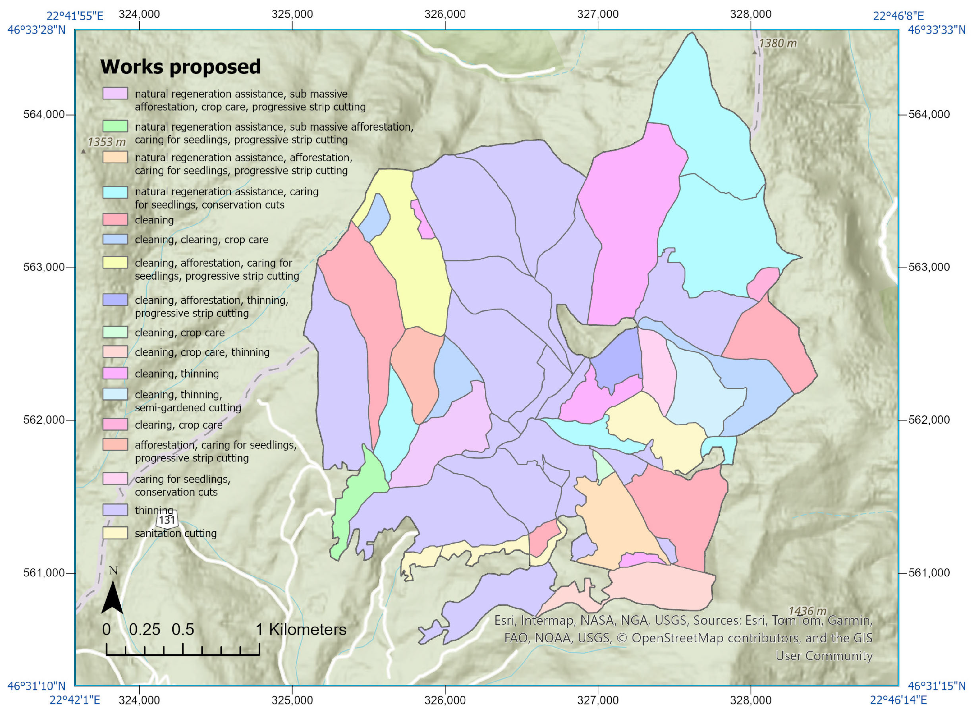 Forests 16 01326 g010