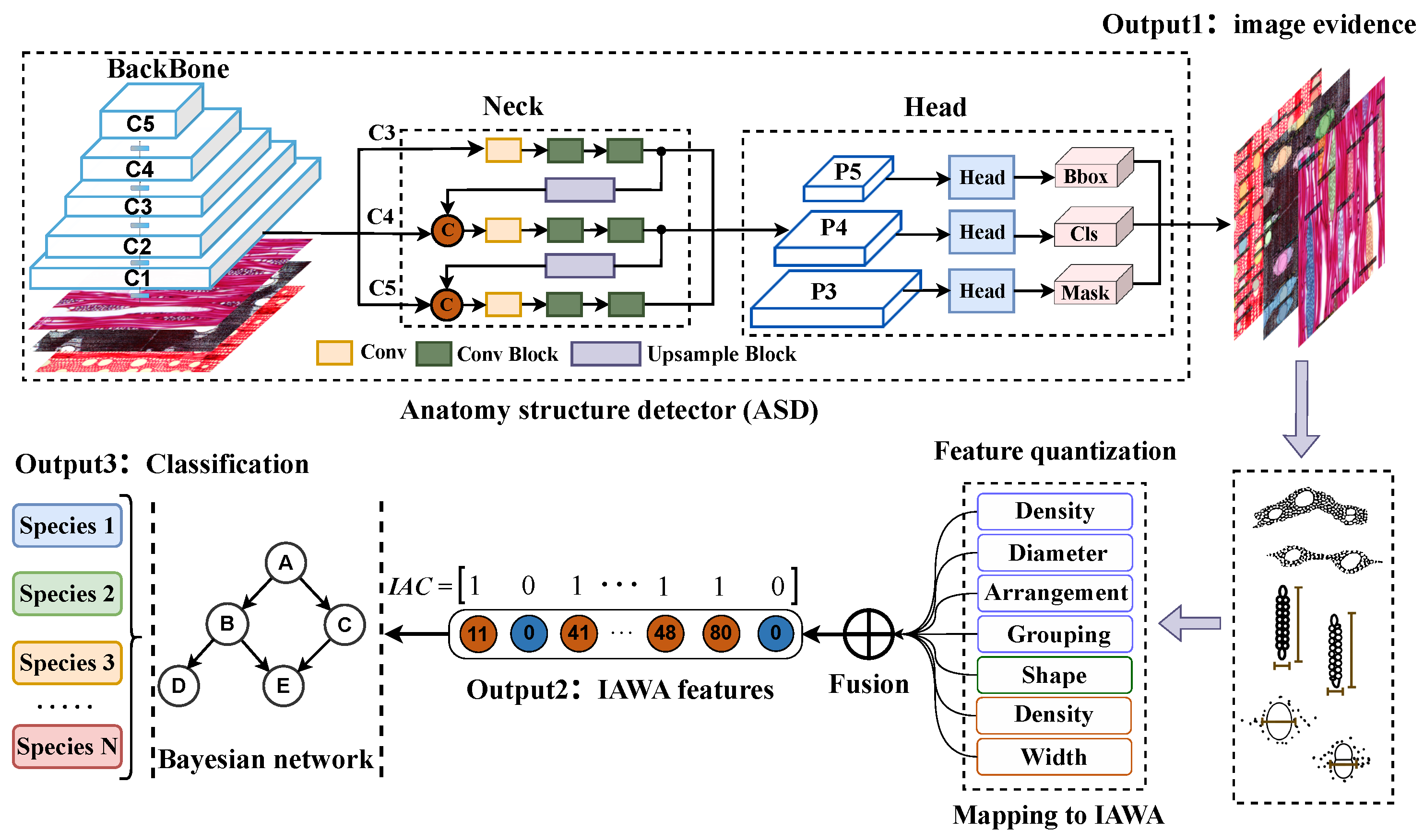 Forests 16 01328 g004