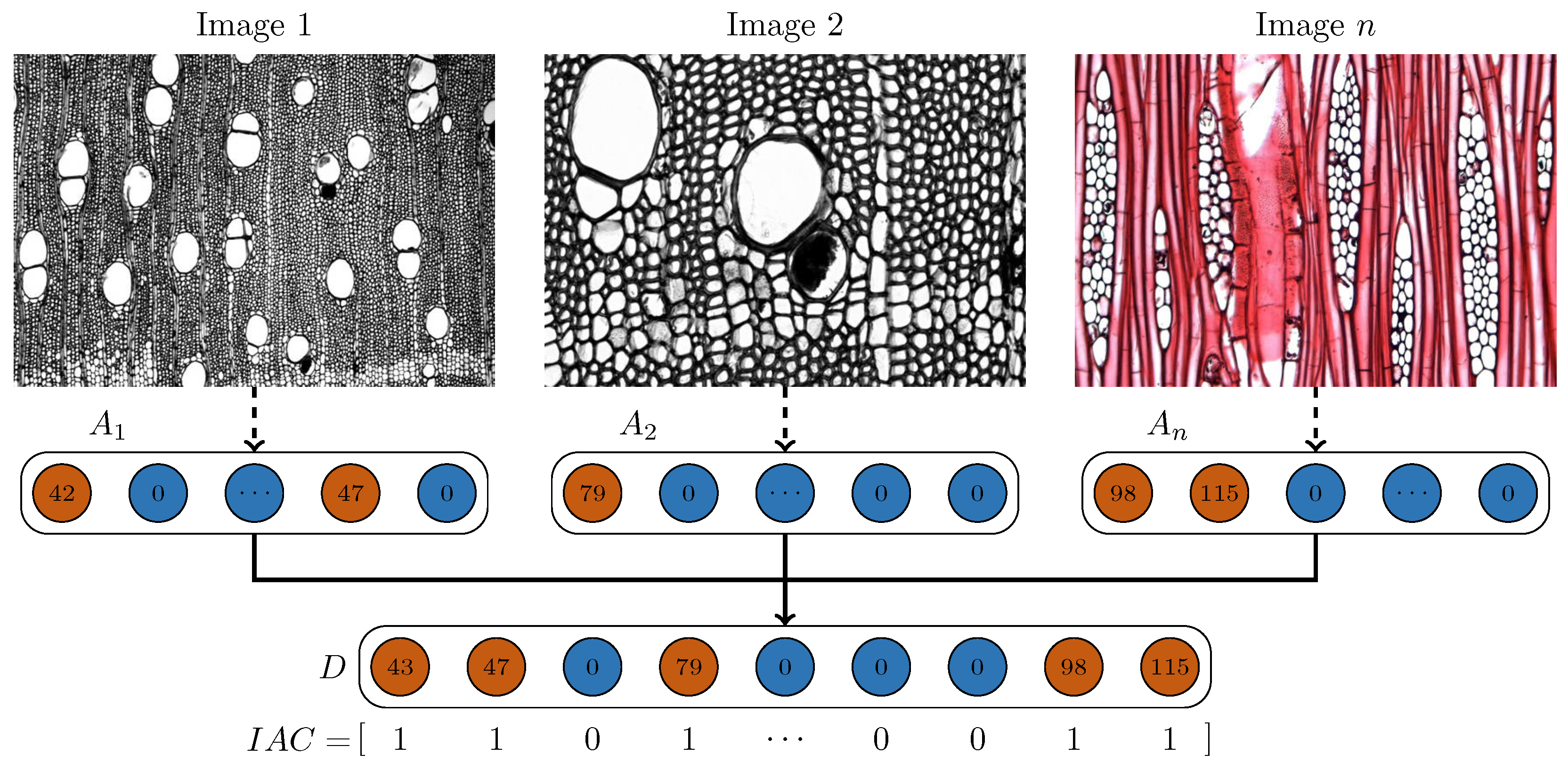 Forests 16 01328 g006