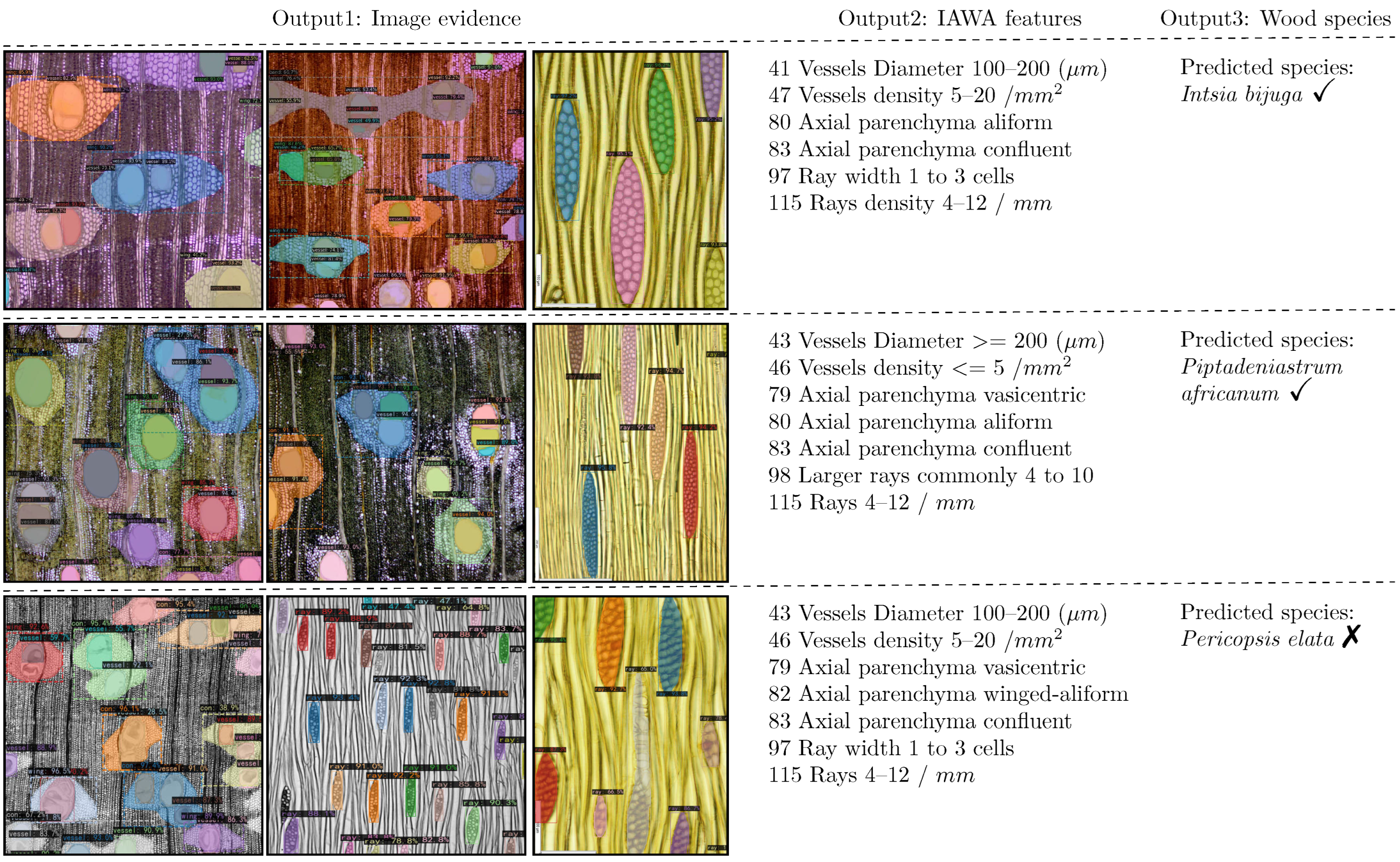 Forests 16 01328 g007