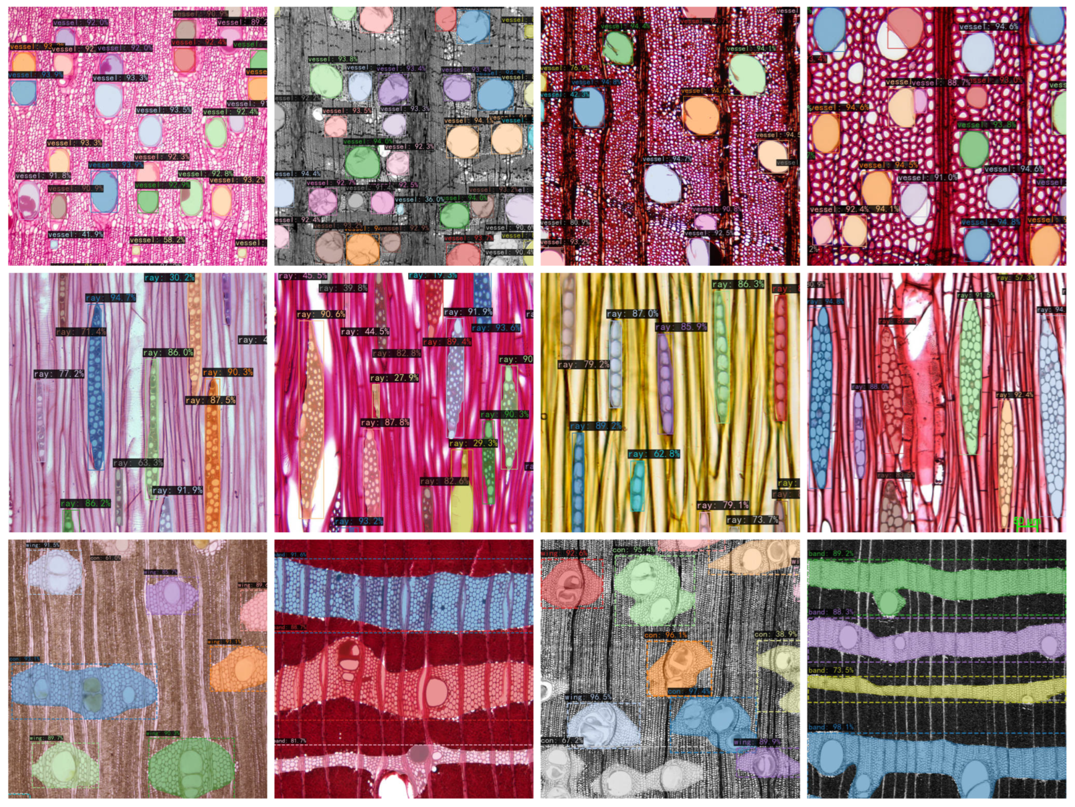 Forests 16 01328 g009