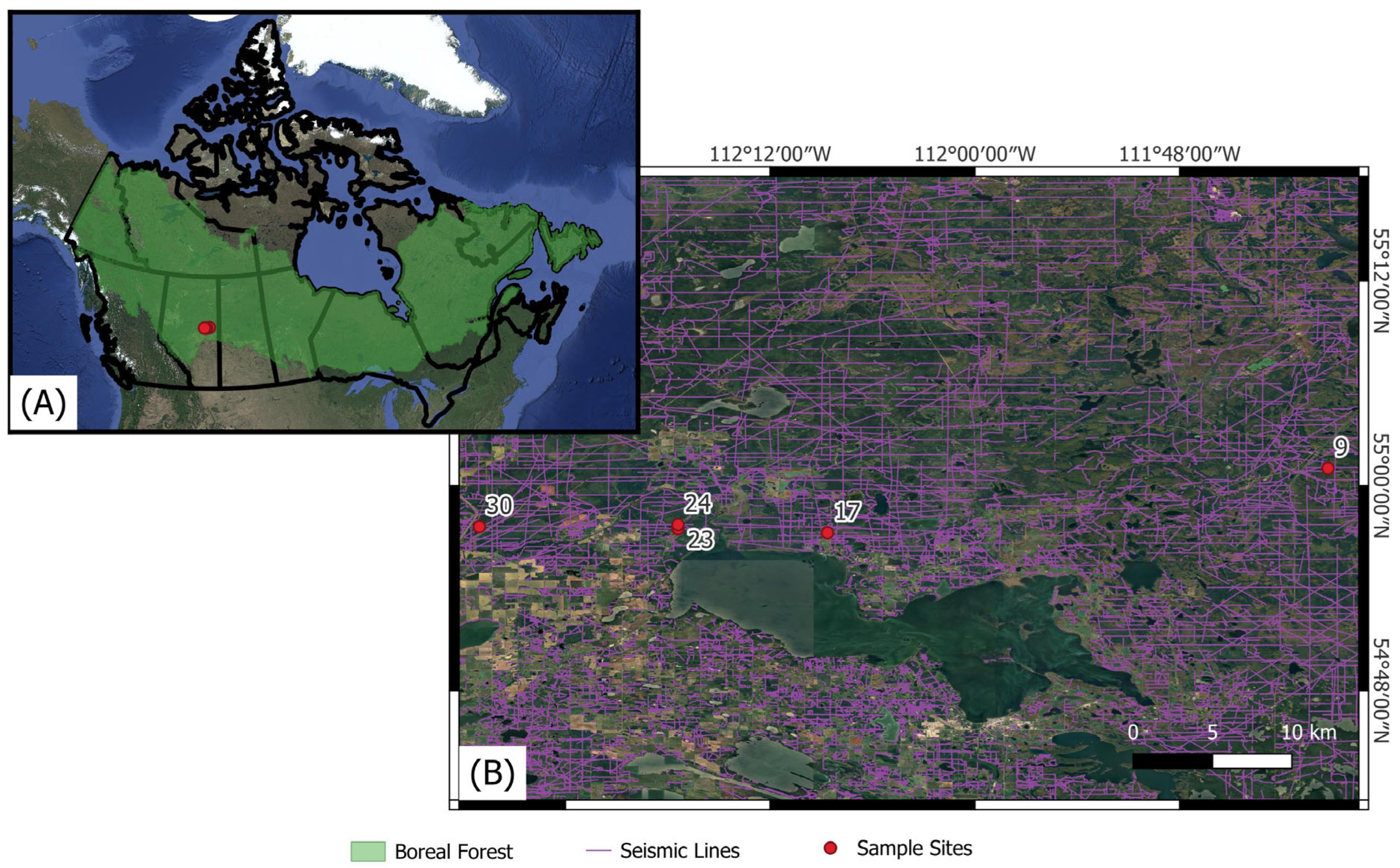 Forests 16 01330 g001