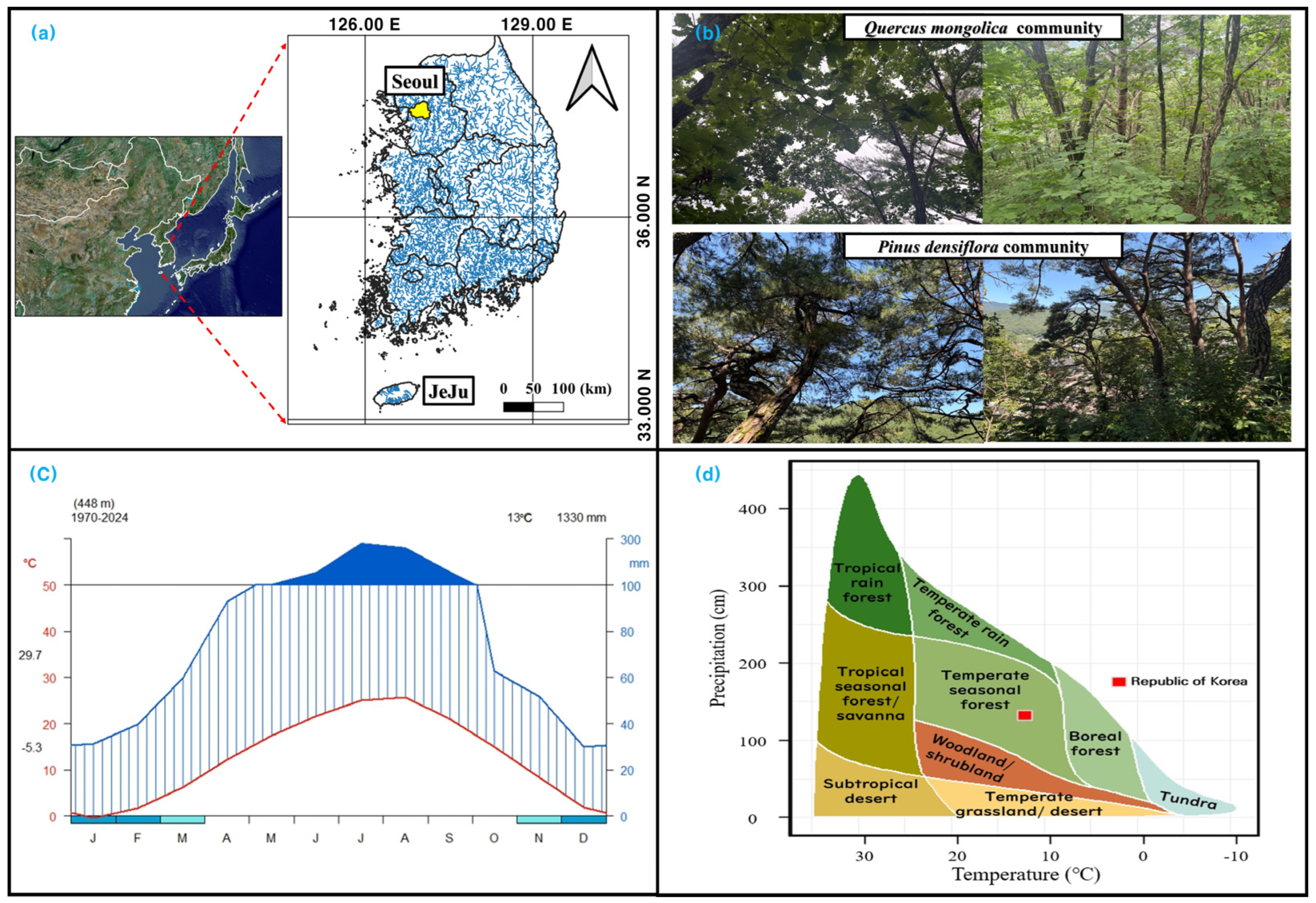 Forests 16 01331 g002 Forests 16 01331 g002