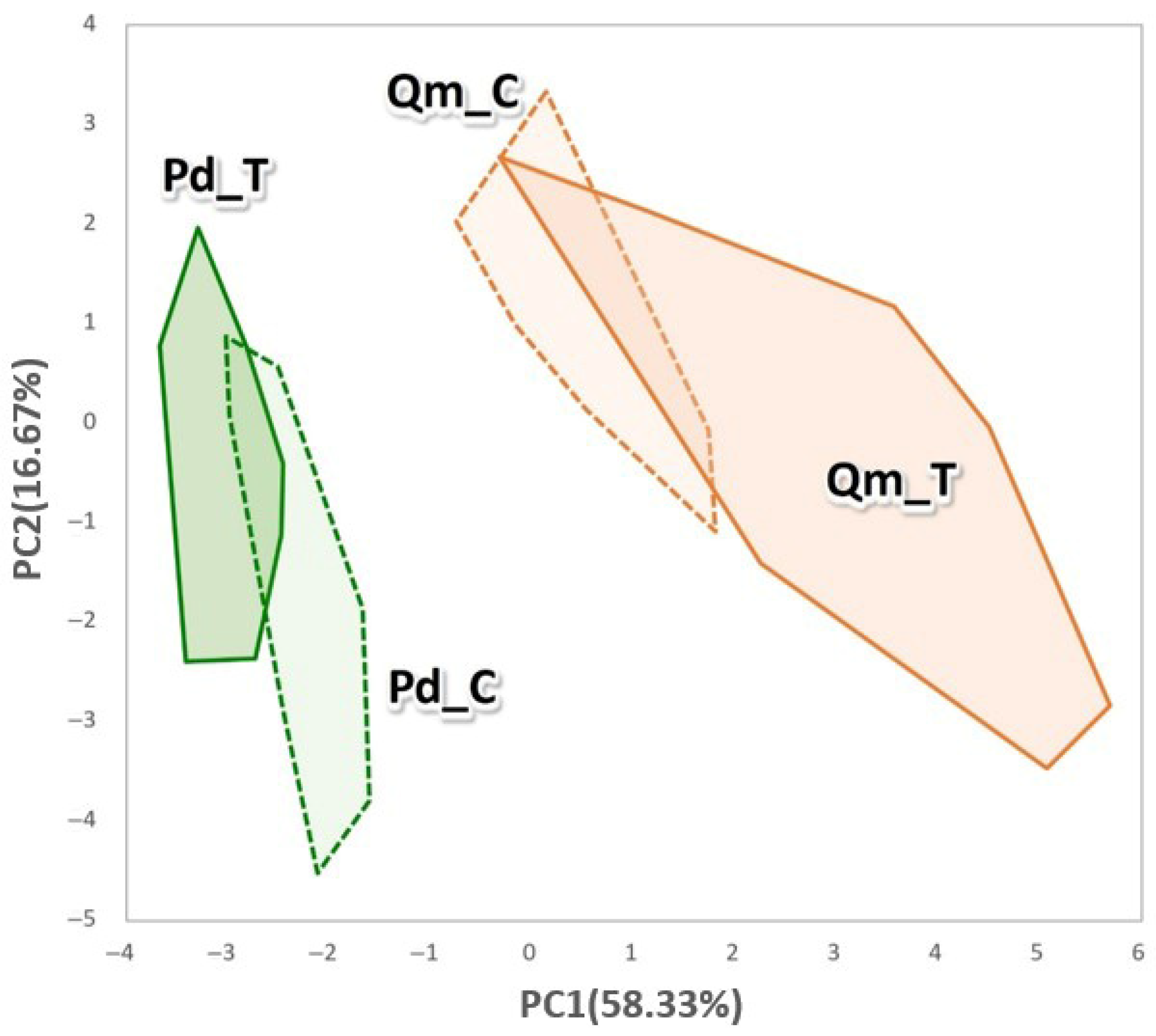 Forests 16 01331 g006 Forests 16 01331 g006