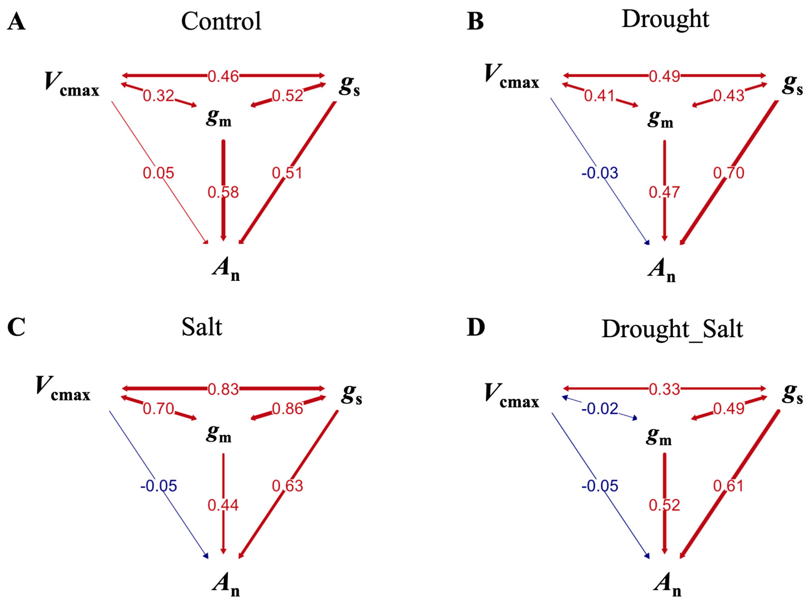 Forests 16 01334 g005 Forests 16 01334 g005