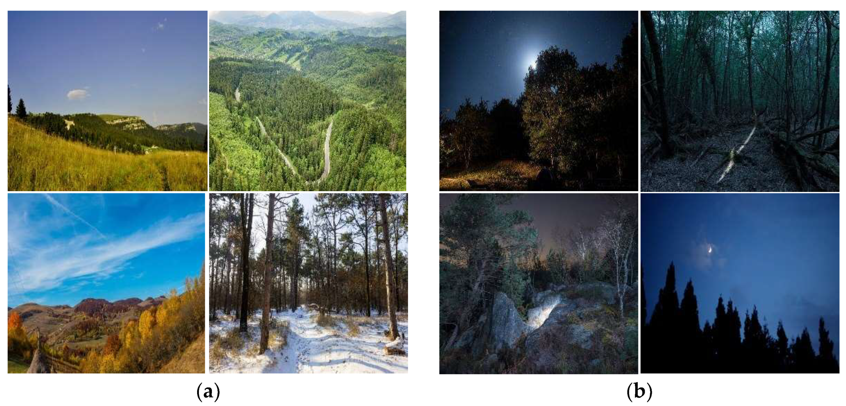 Forests 16 01335 g002