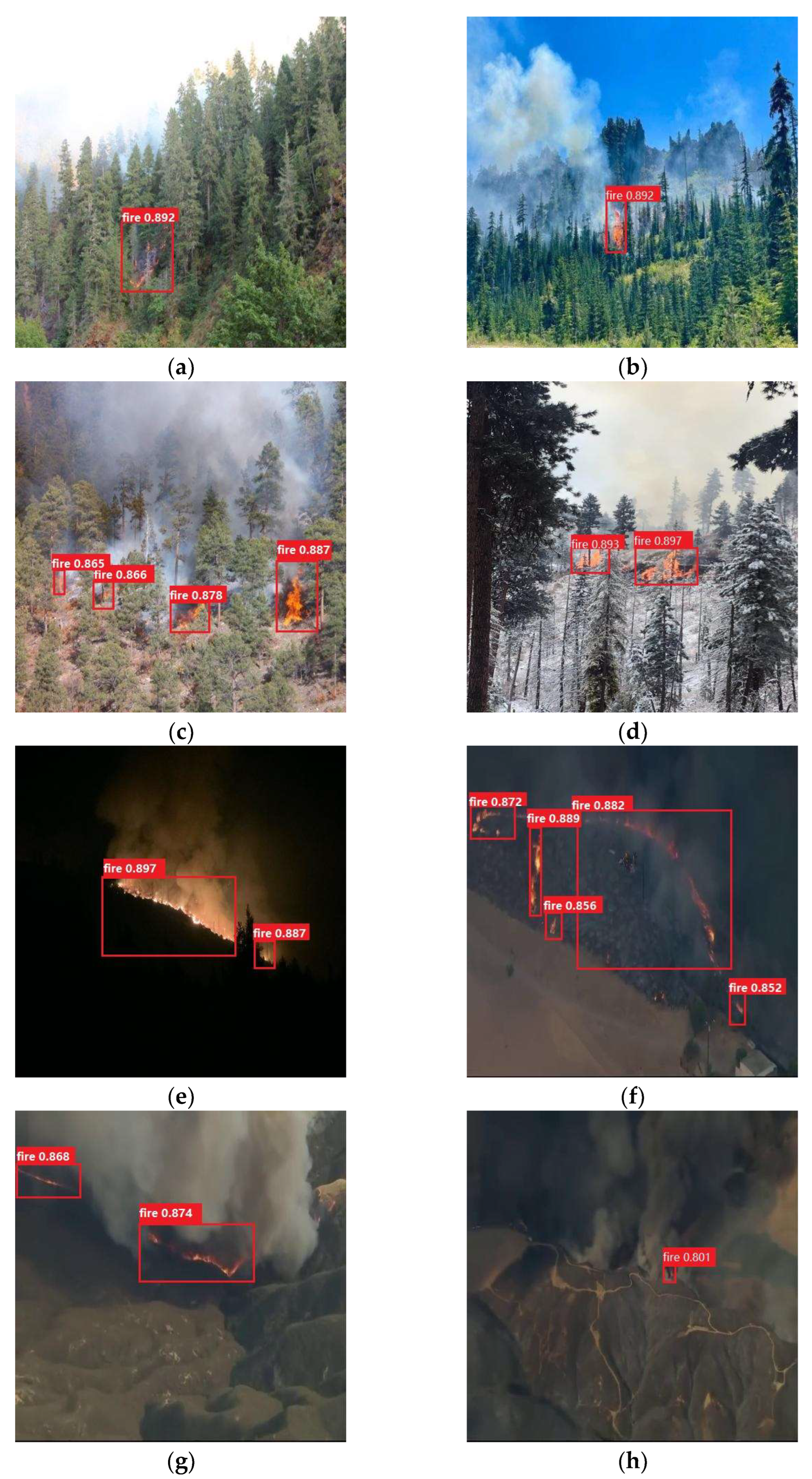 Forests 16 01335 g007