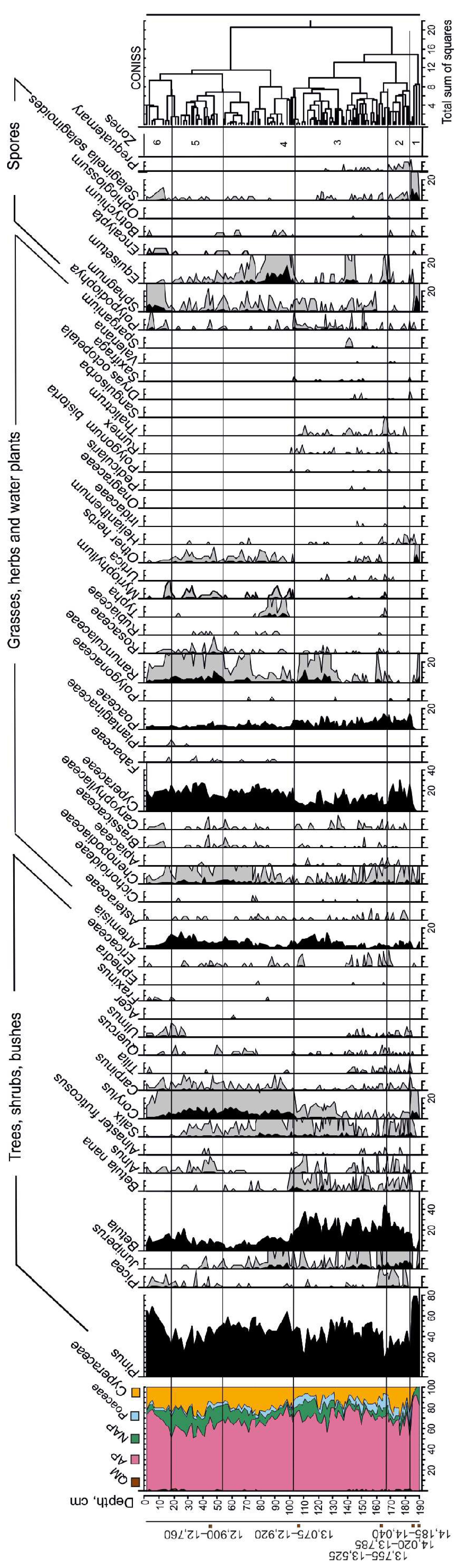 Forests 16 01336 g002