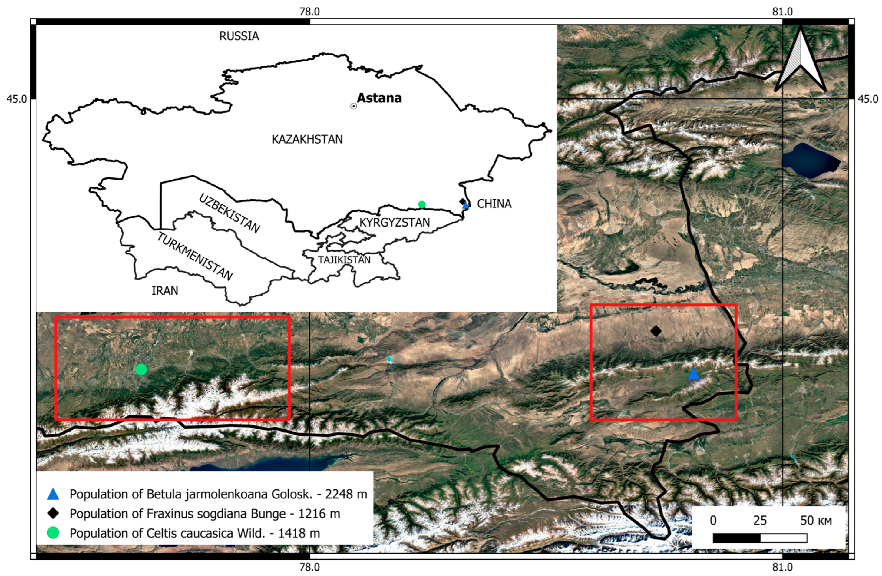 Forests 16 01340 g001 Forests 16 01340 g001