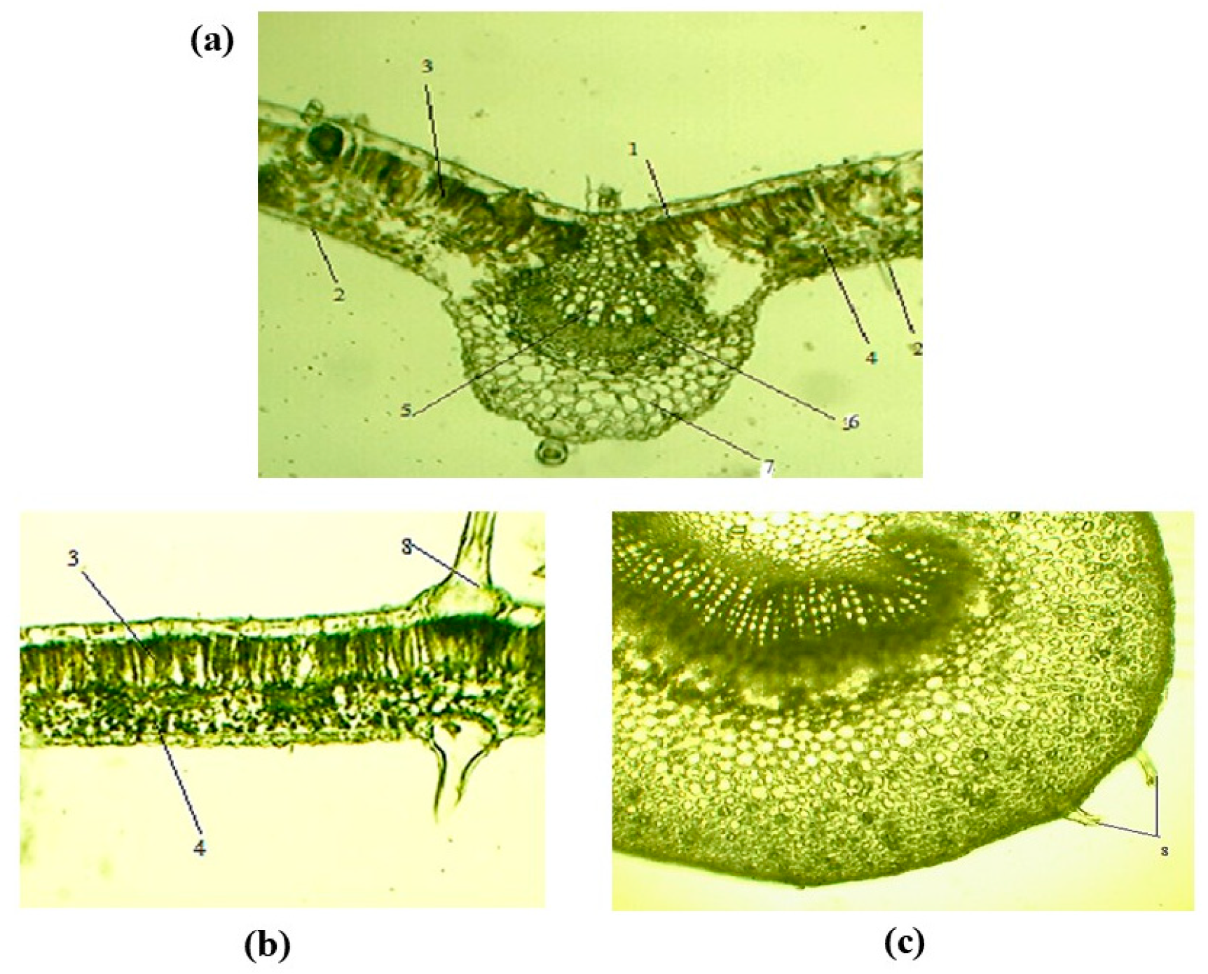 Forests 16 01340 g006 Forests 16 01340 g006