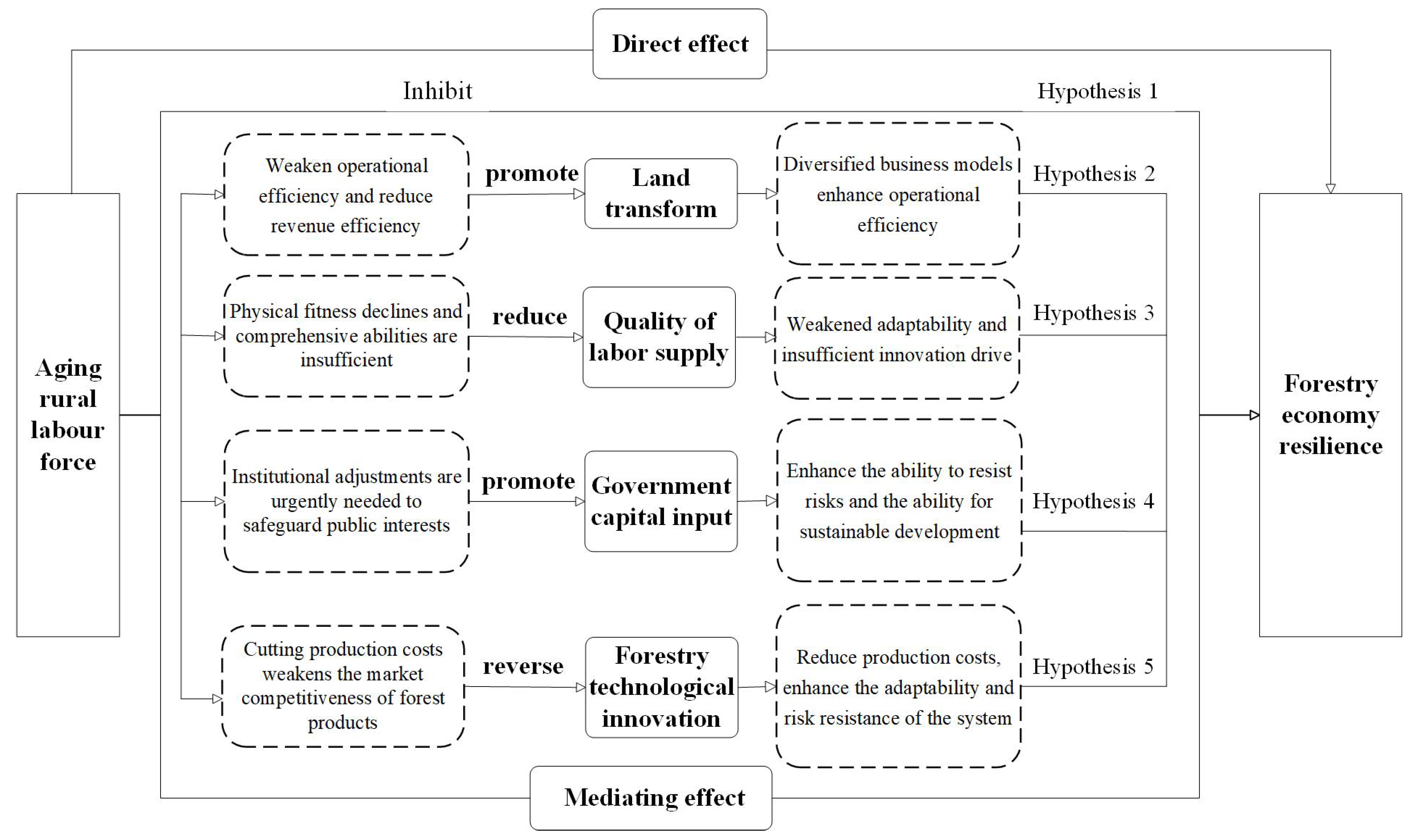 Forests 16 01341 g001