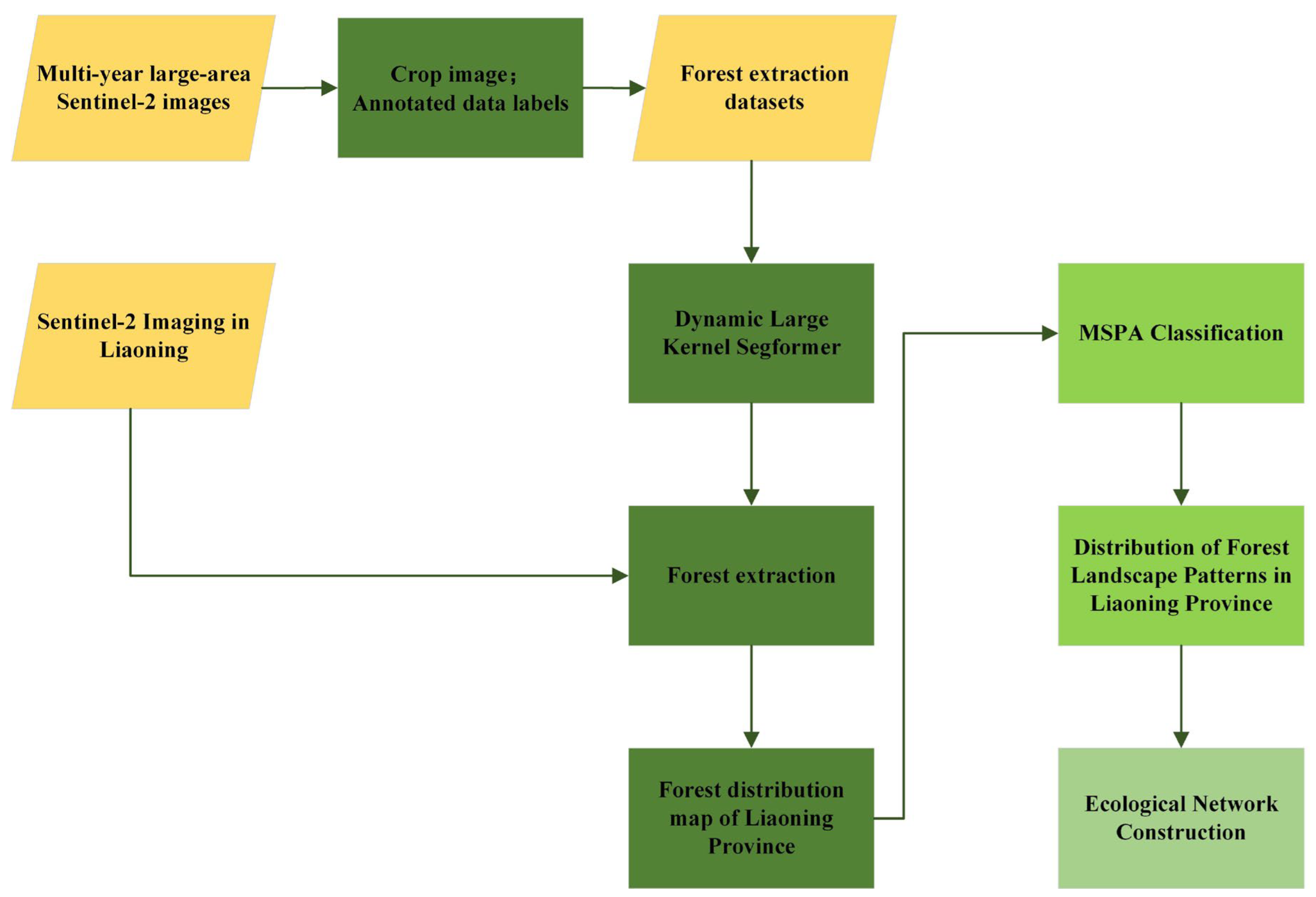 Forests 16 01342 g001 Forests 16 01342 g001
