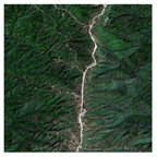 Forests 16 01342 i001 Forests 16 01342 i001