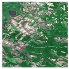 Forests 16 01342 i003 Forests 16 01342 i003