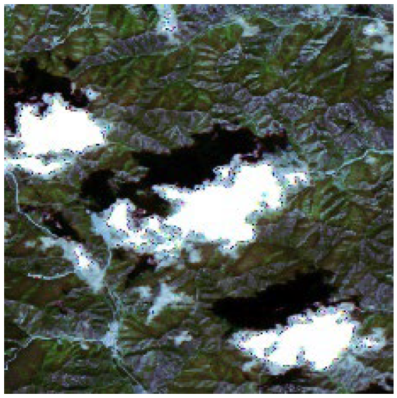 Forests 16 01342 i004 Forests 16 01342 i004