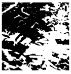 Forests 16 01342 i008 Forests 16 01342 i008