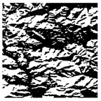 Forests 16 01342 i009 Forests 16 01342 i009