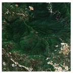 Forests 16 01342 i011 Forests 16 01342 i011