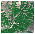 Forests 16 01342 i013 Forests 16 01342 i013