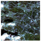 Forests 16 01342 i014 Forests 16 01342 i014