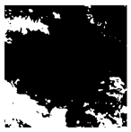 Forests 16 01342 i016 Forests 16 01342 i016