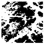 Forests 16 01342 i017 Forests 16 01342 i017