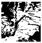 Forests 16 01342 i018 Forests 16 01342 i018